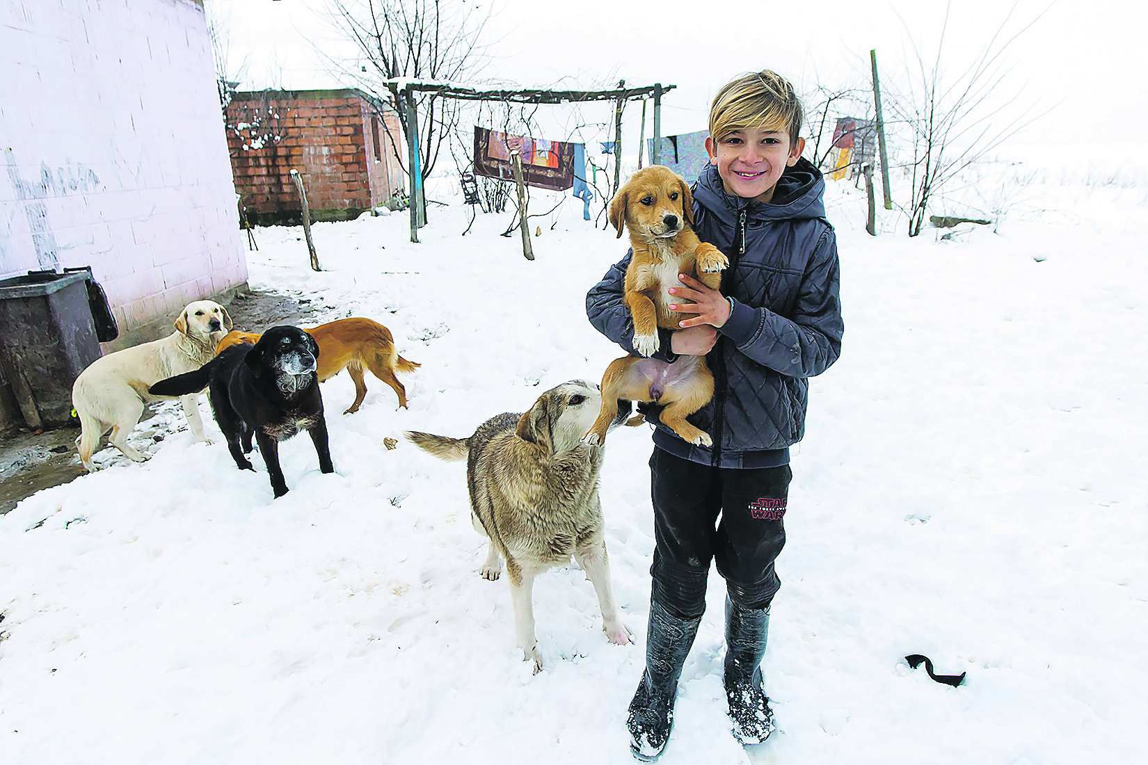 cakovec-psi39-070218