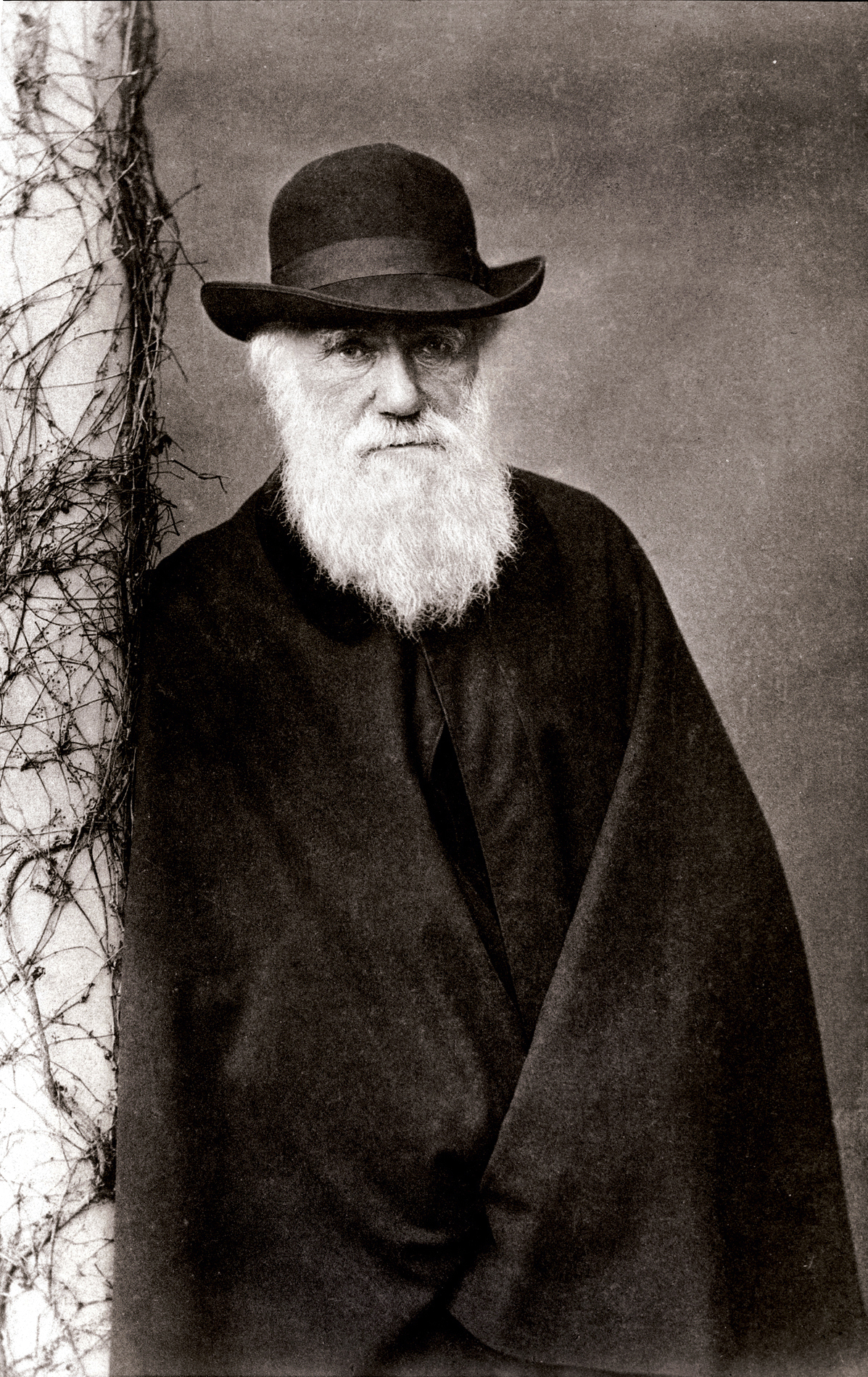 Darwin_1881