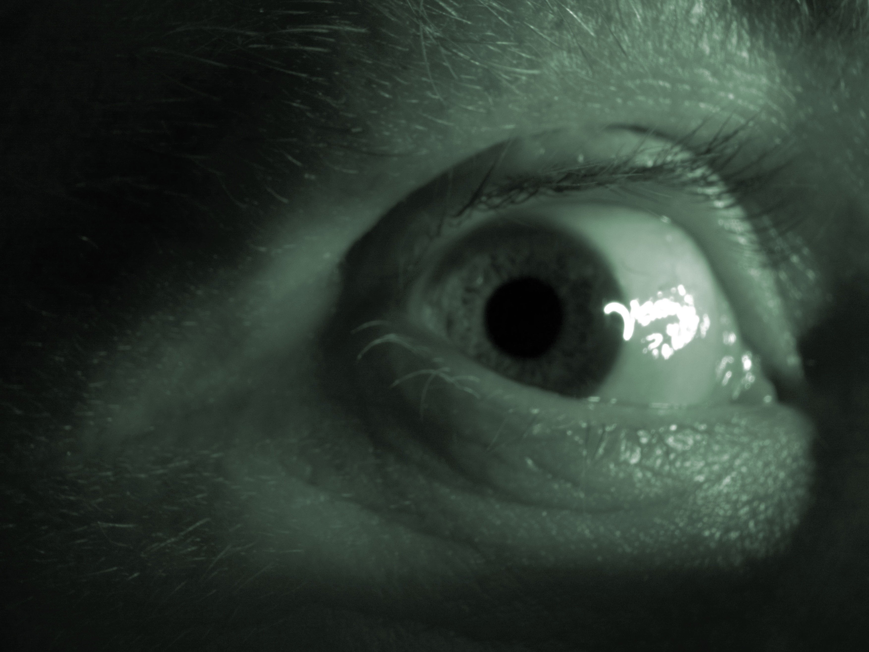 profimedia-0008897379