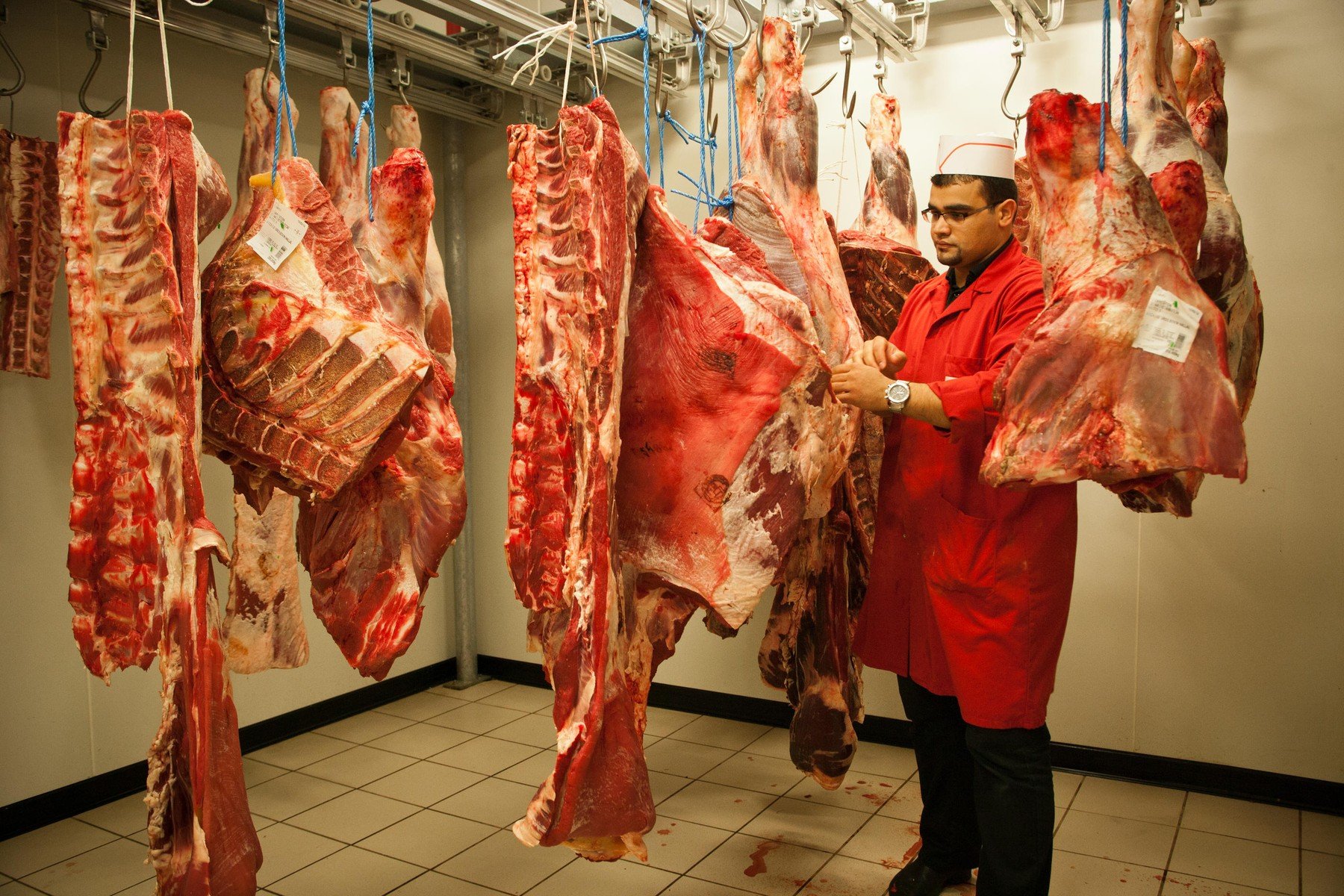 profimedia-0132039819