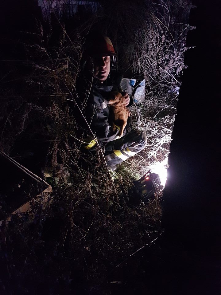 27751595_1905081366190363_1790468788750846242_n