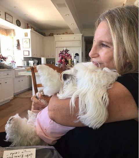 Barbra Streisand i Samantha