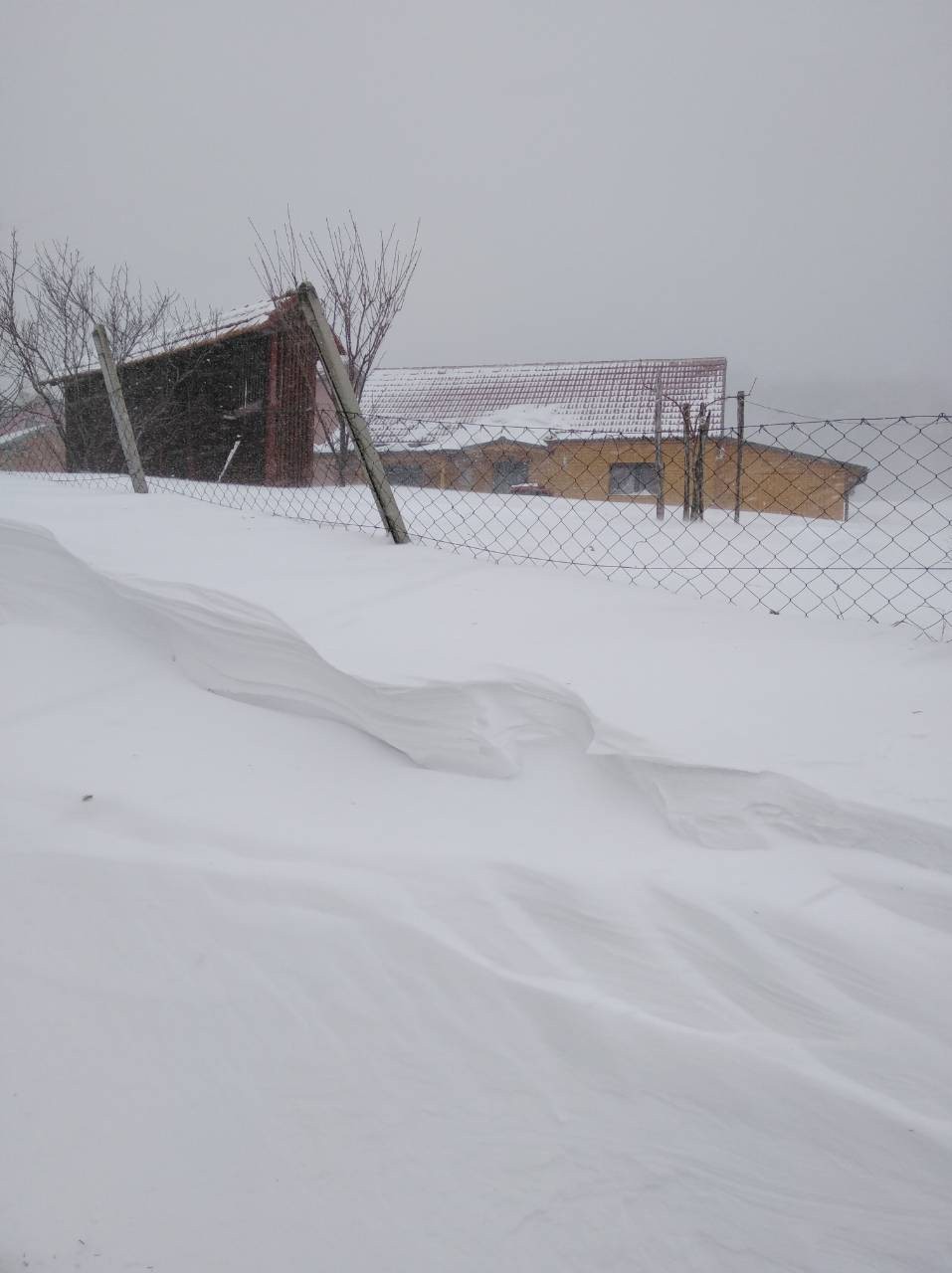 media-share-0-02-04-5e9e2369944ebfd64c67c56066d58939674e8460e59f2212eaac5a29030ccb44-Picture