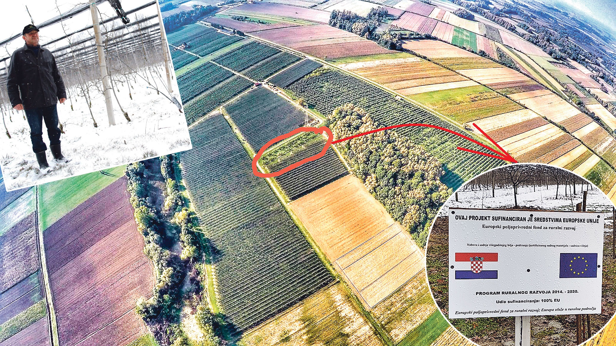 gore lijevo: Branko Branković