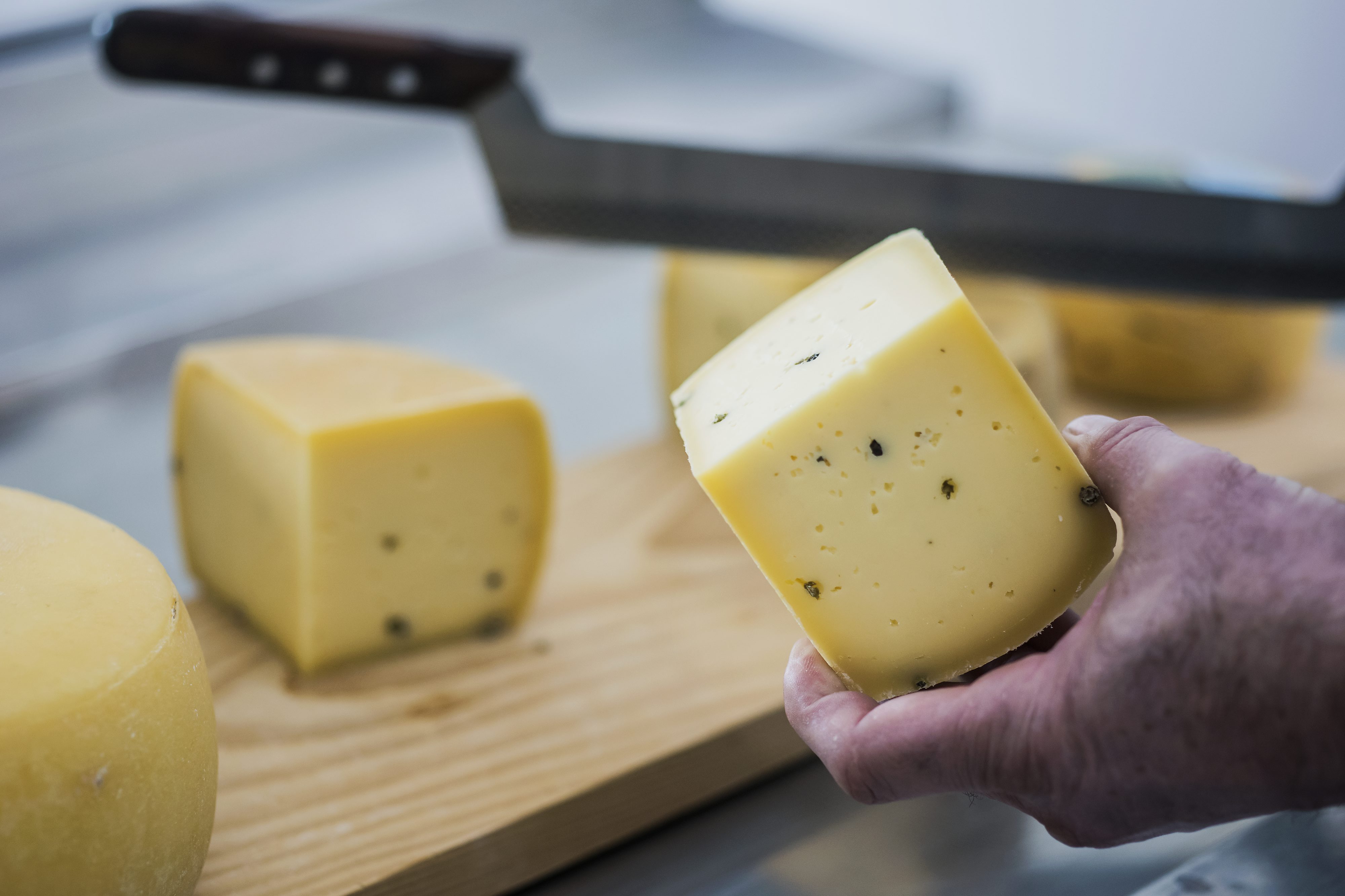 sirana_sestak14-250118