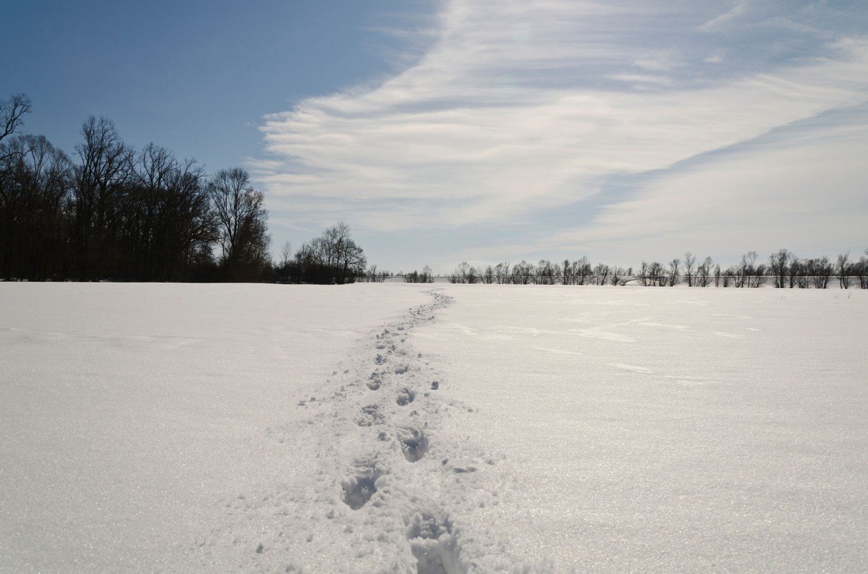 profimedia-0124673888