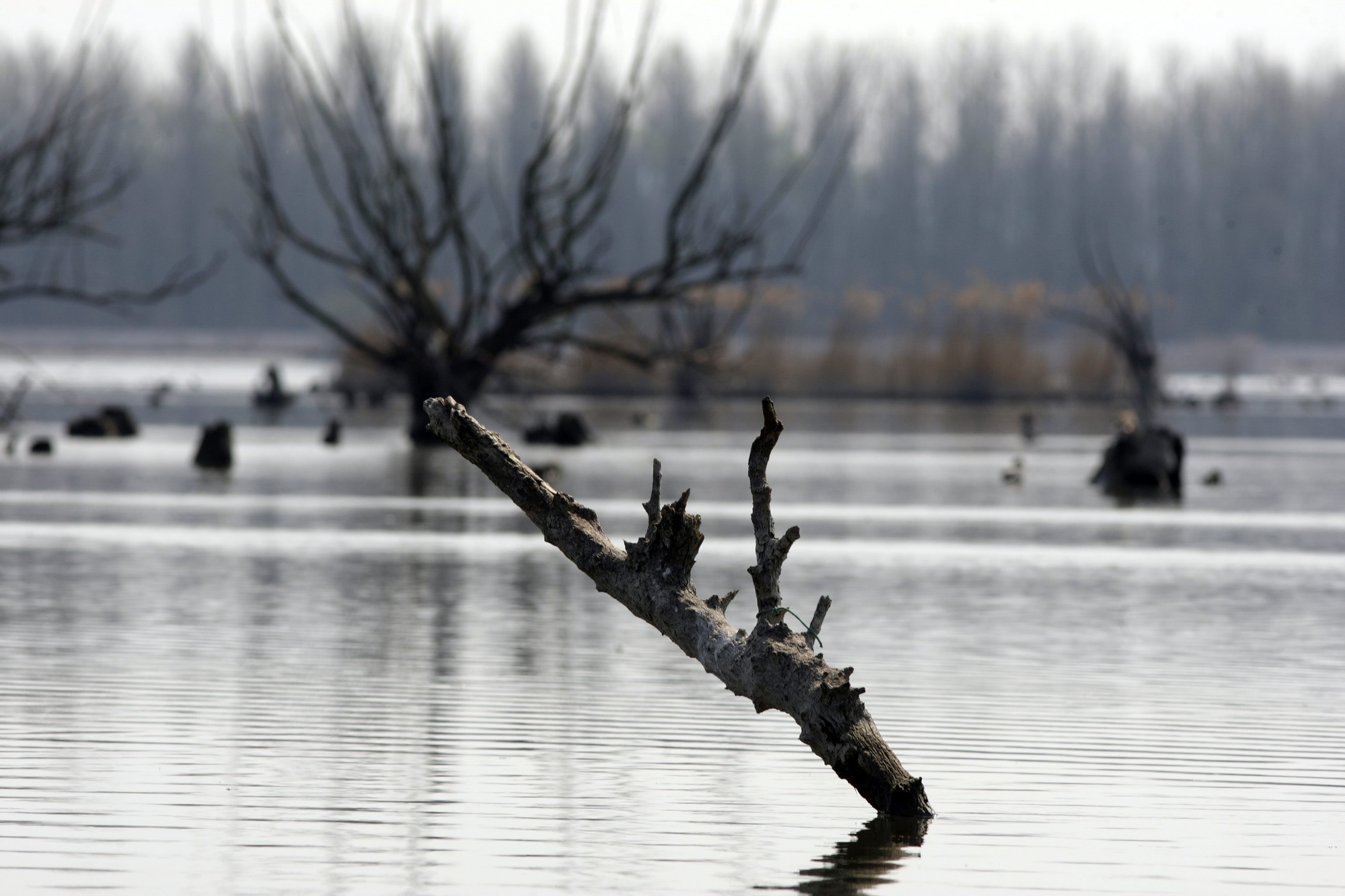 Arhivska fotografija