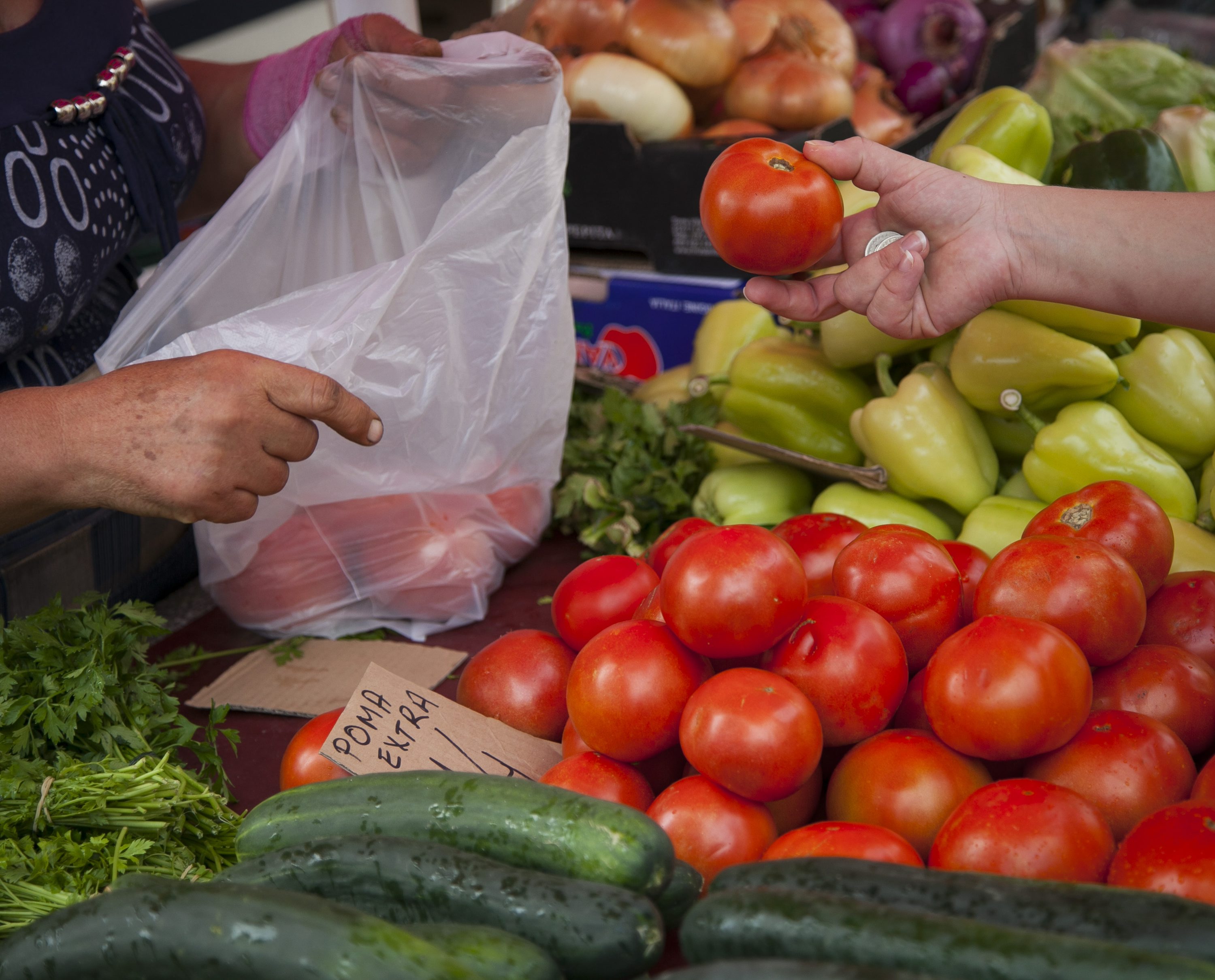 trznica_ponuda6-050914