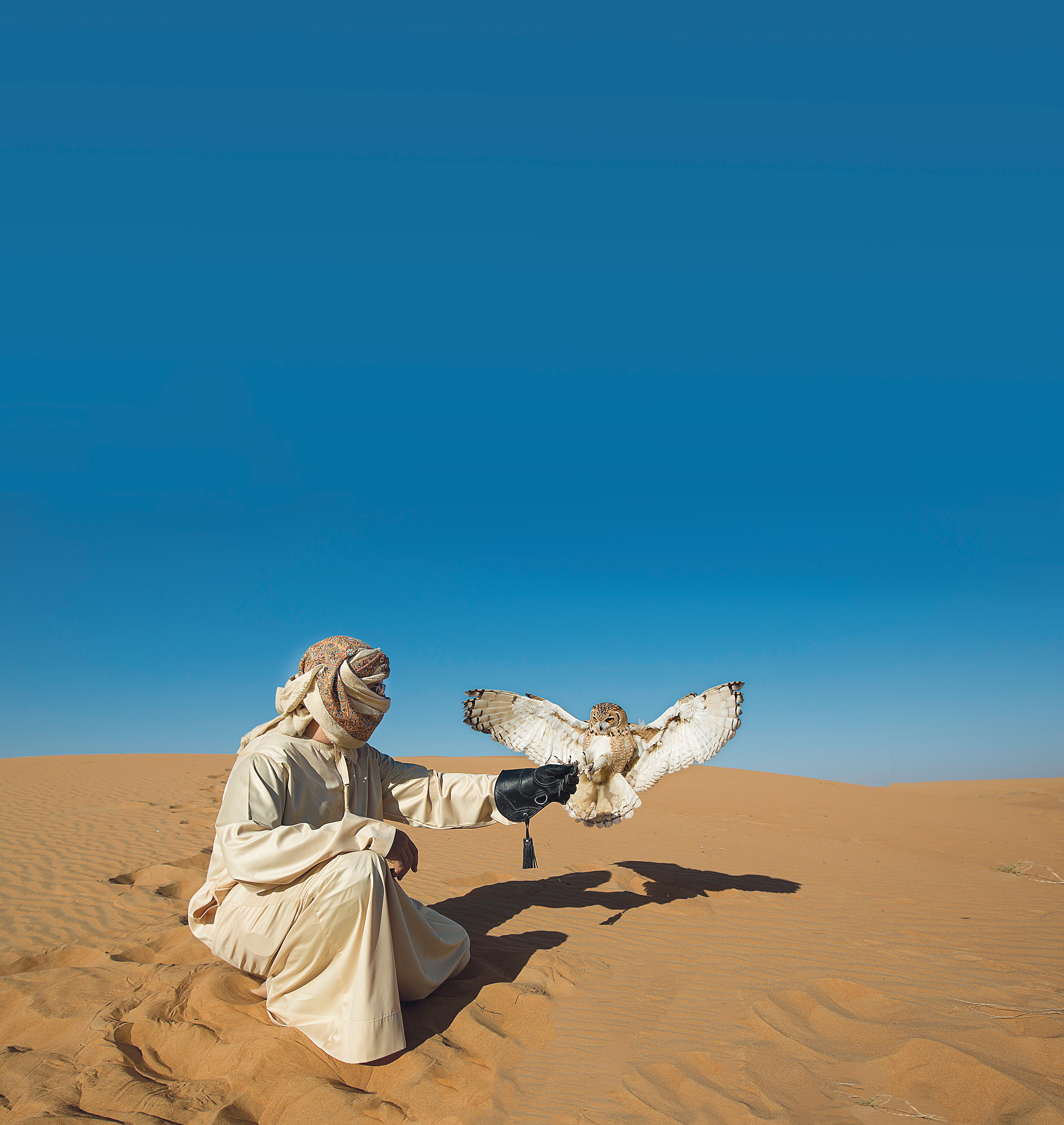 shutterstock-531613714