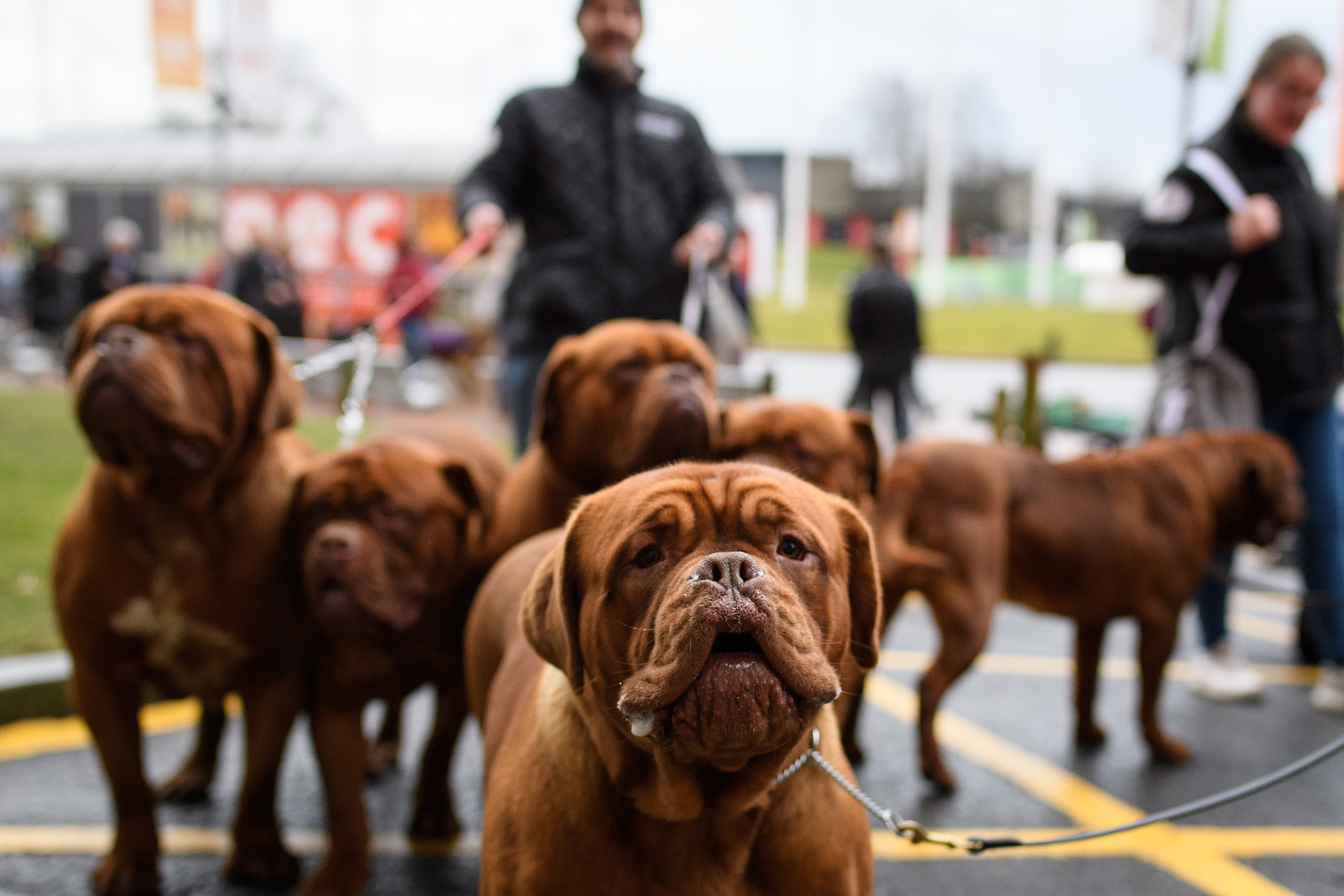 GettyImages-929132936