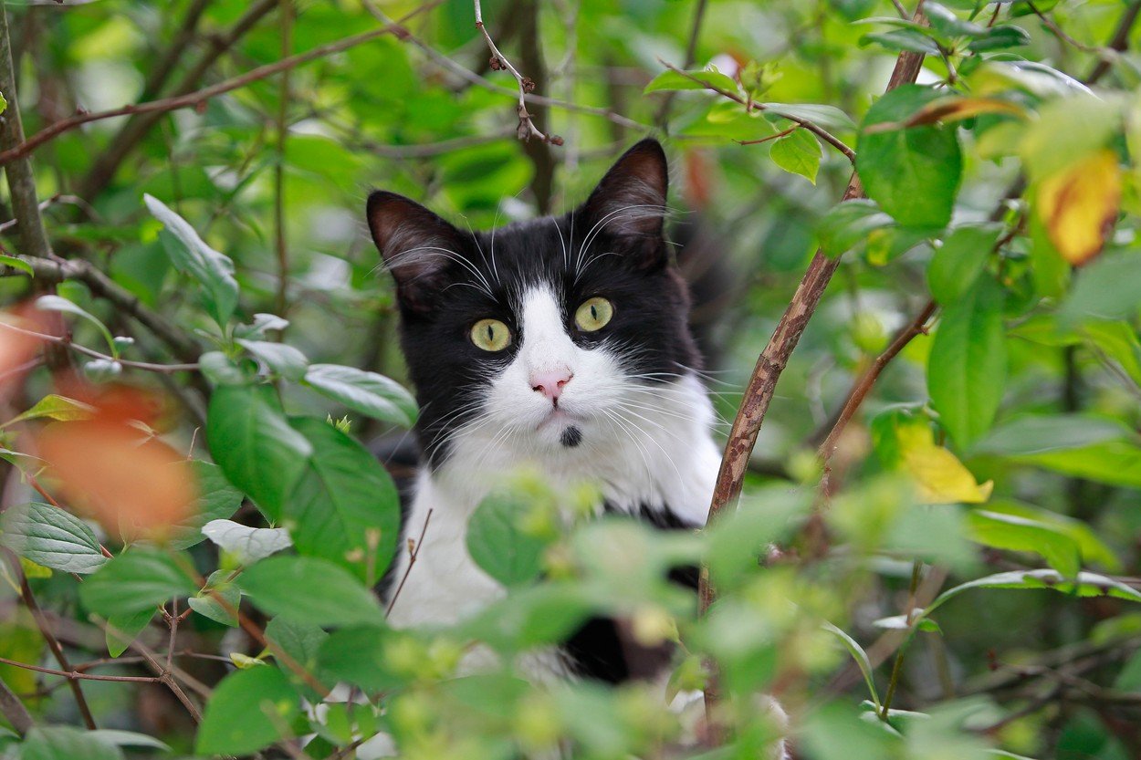 profimedia-0174674340