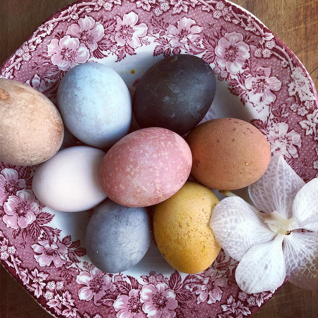 29096357_125968701578840_6568953068195414016_n