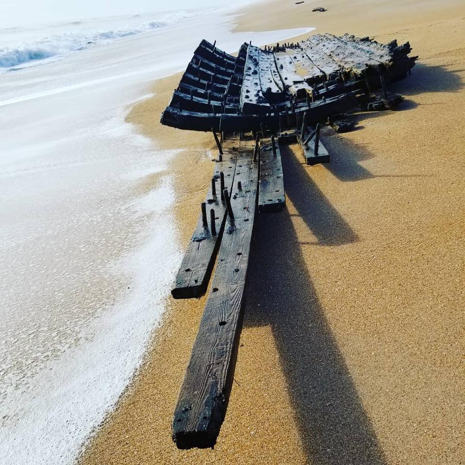 29541598_1859992180691182_8938849722989324816_n