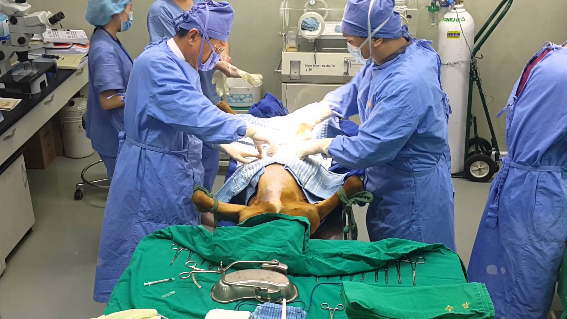 kloniranje2_youtube_