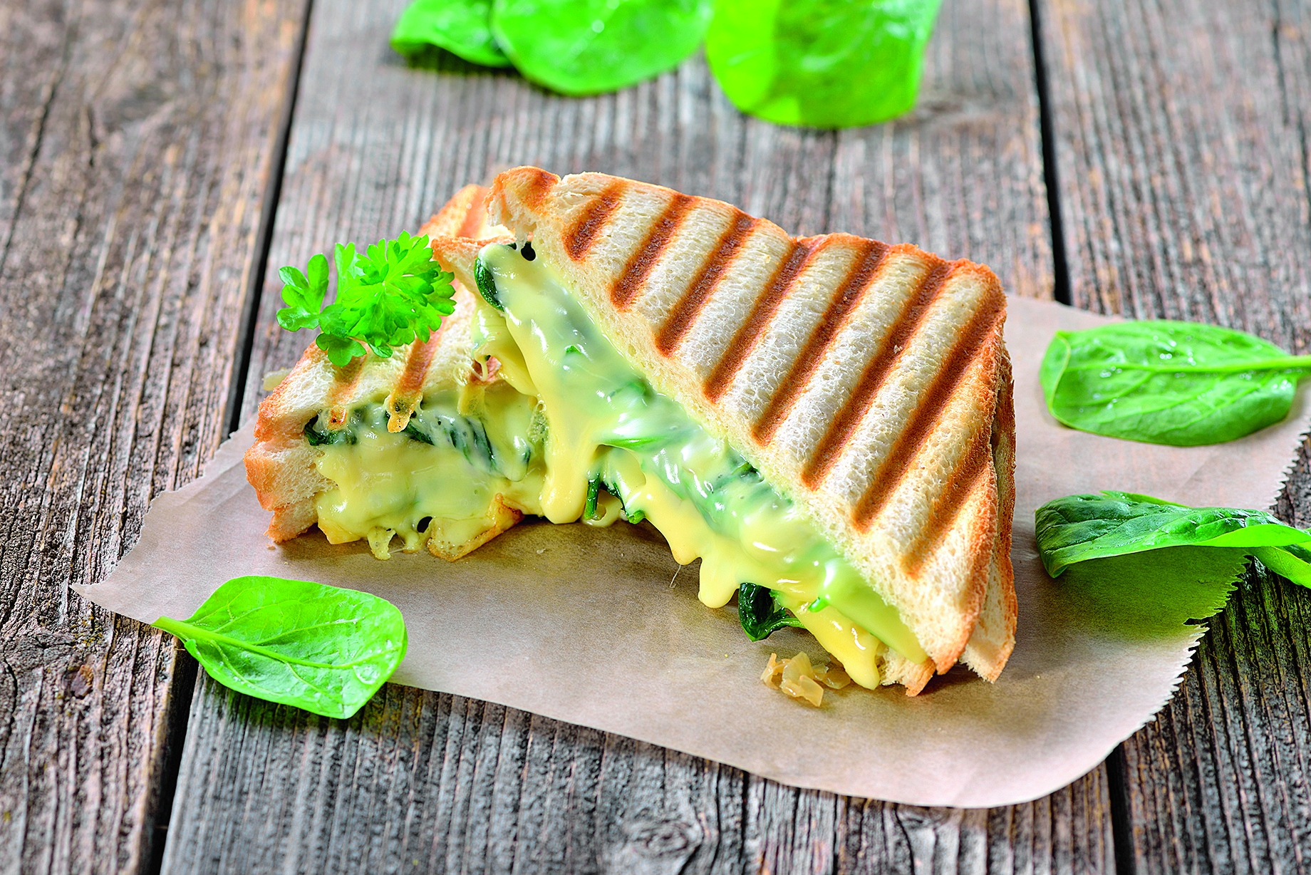 shutterstock-688161466