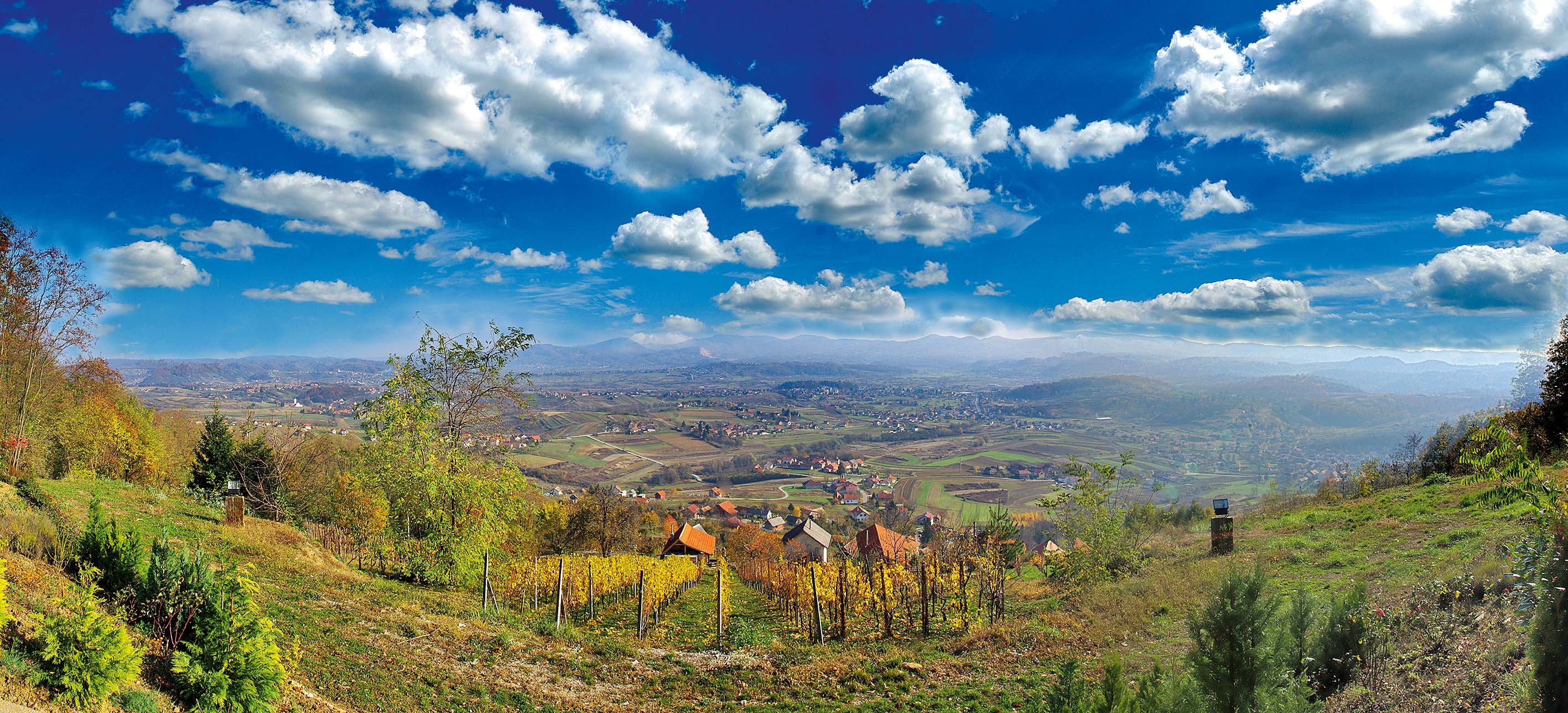 Brege oko Novog Marofa krase brojni vinogradi