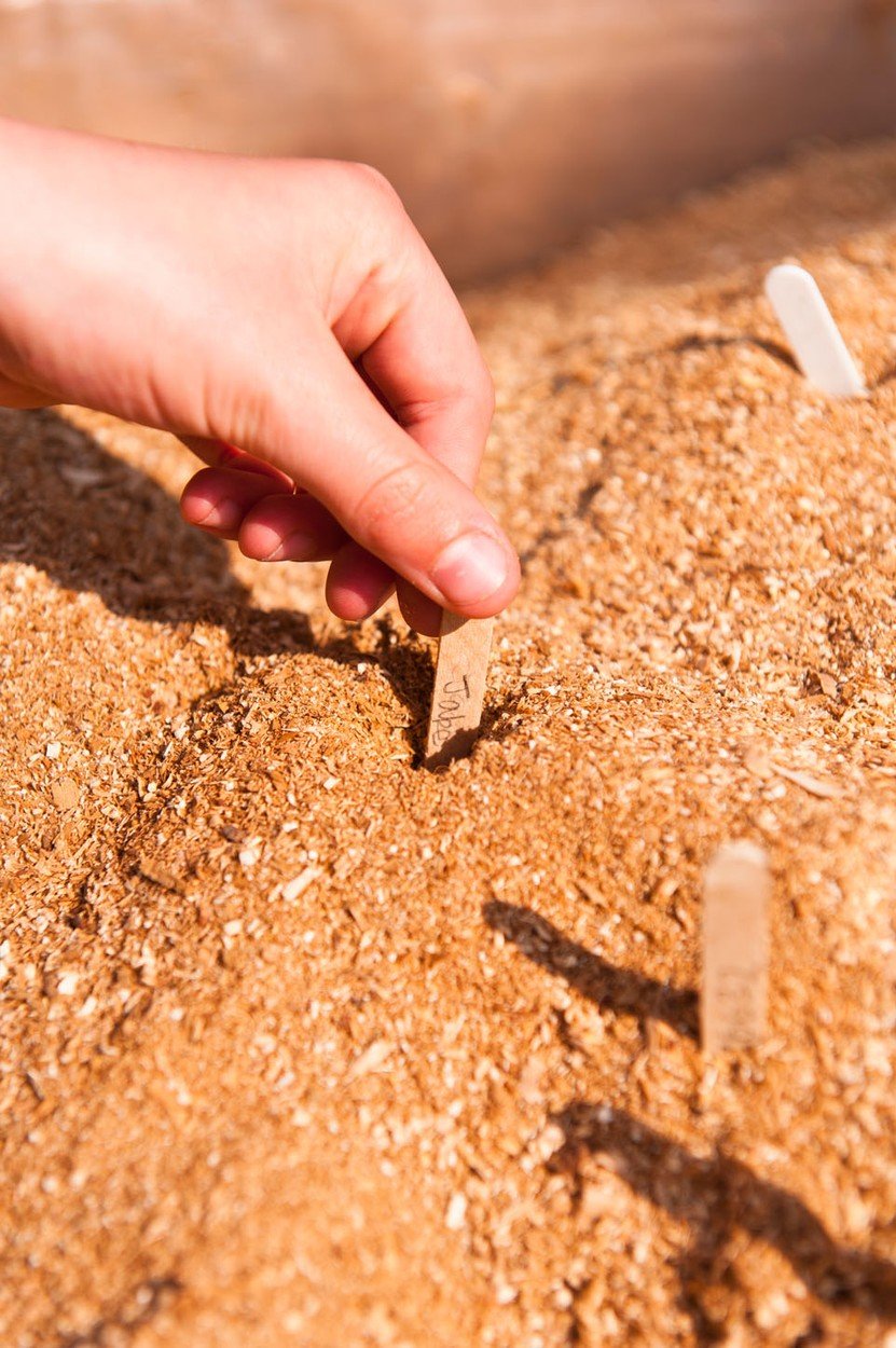 profimedia-0104025000