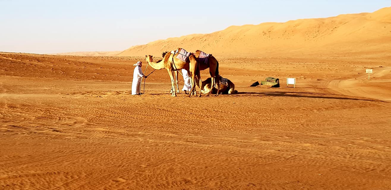 28954417_10157220104148306_755653788236298676_o