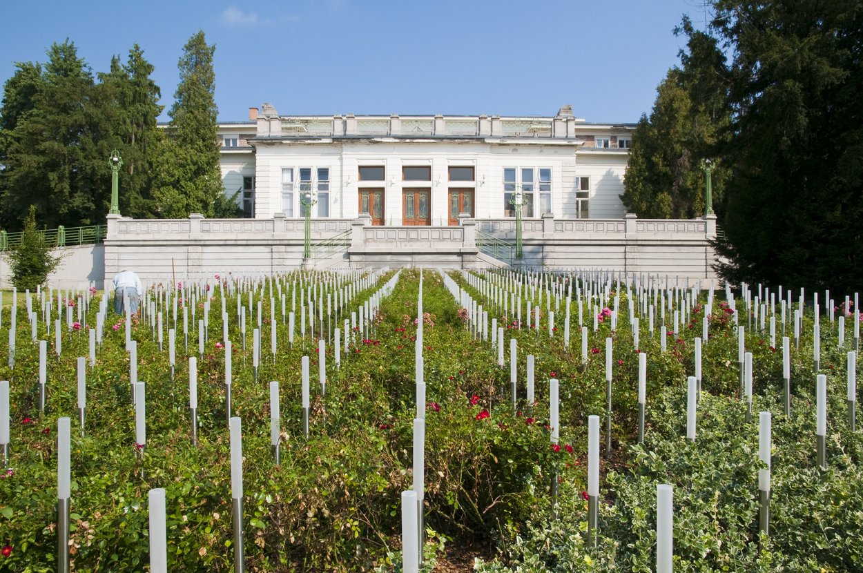 Memorijalno groblje za žrtve klinike Spiegelgrund