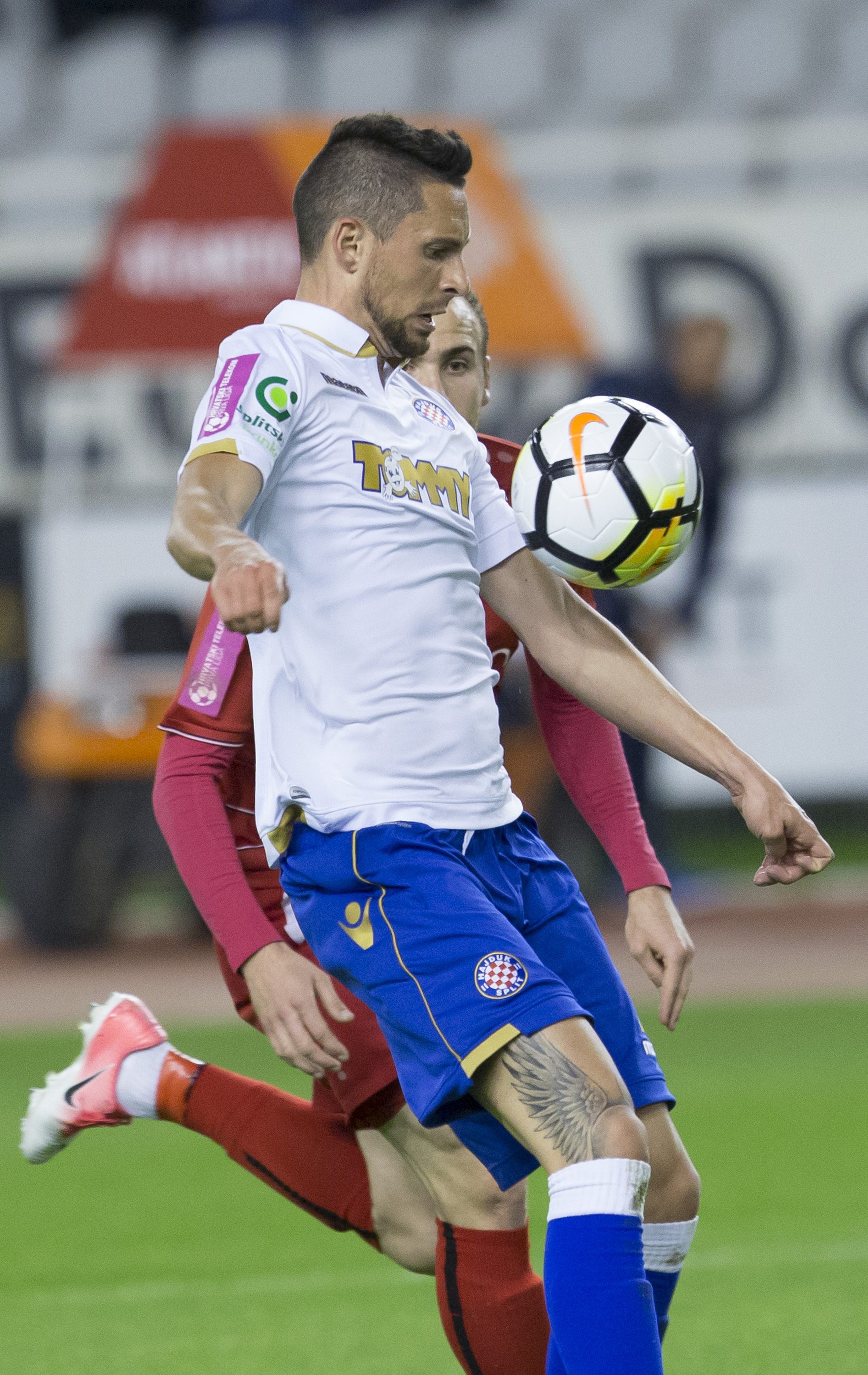 hajduk_cibaliavb31-180418