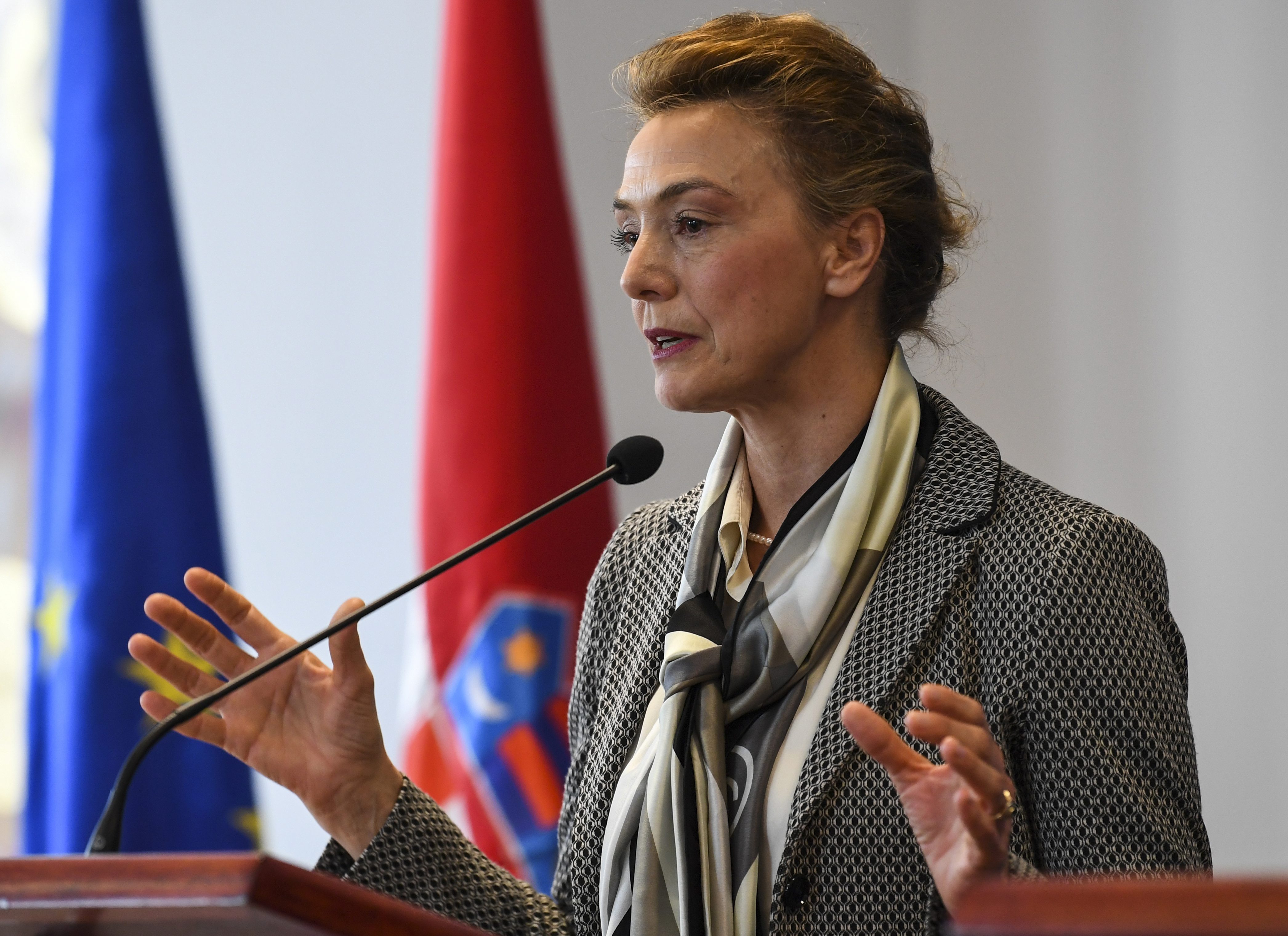 Marija Pejčinović Burić