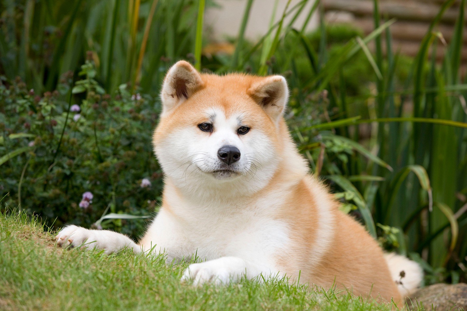 profimedia-0174668639