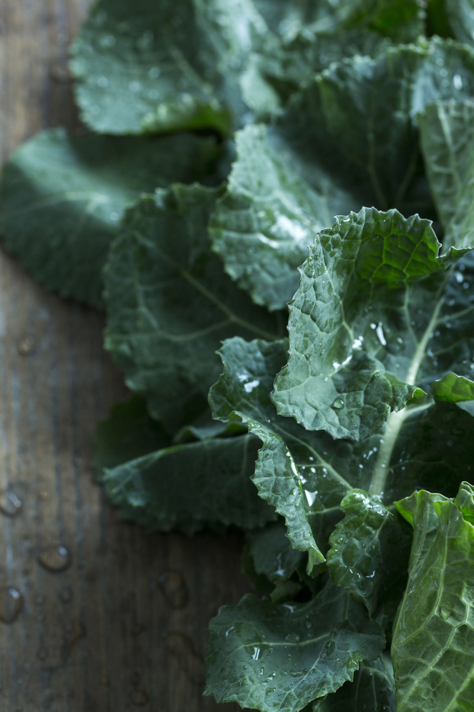 rastika_mateja1-200218