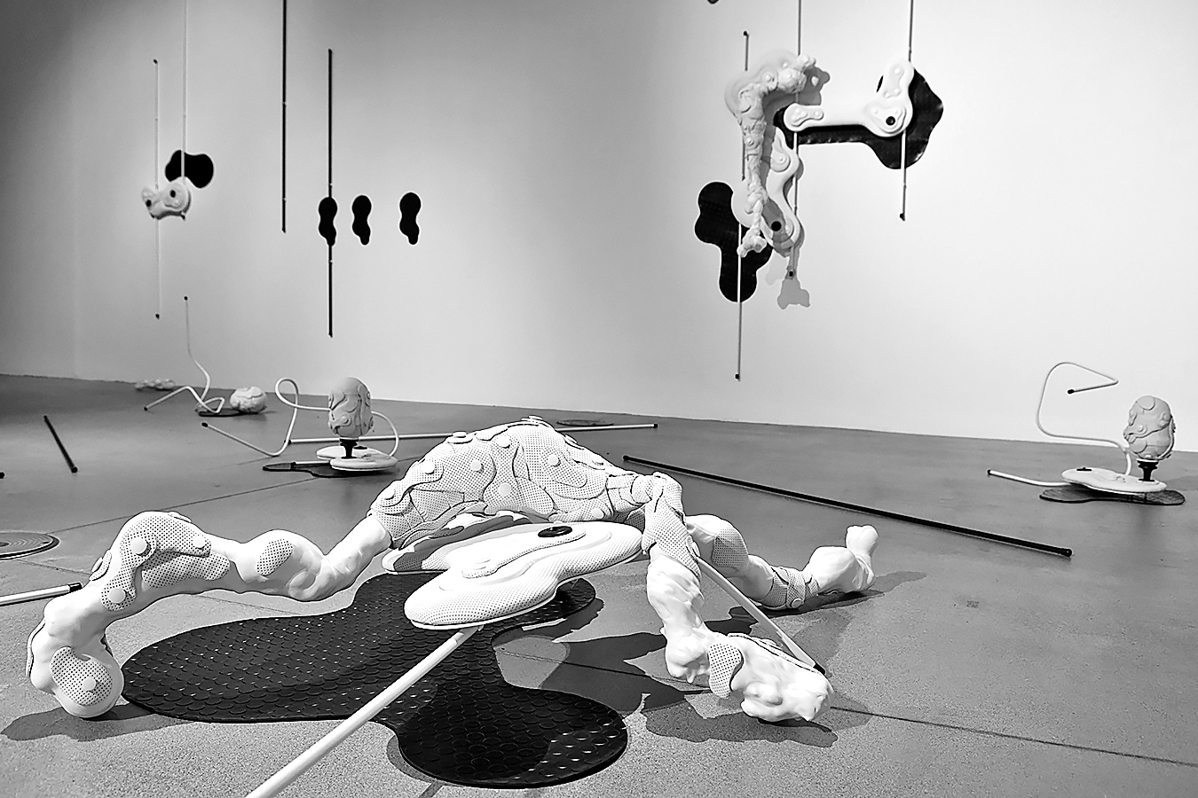 'Forensic Folklore' Kristiana Kožula