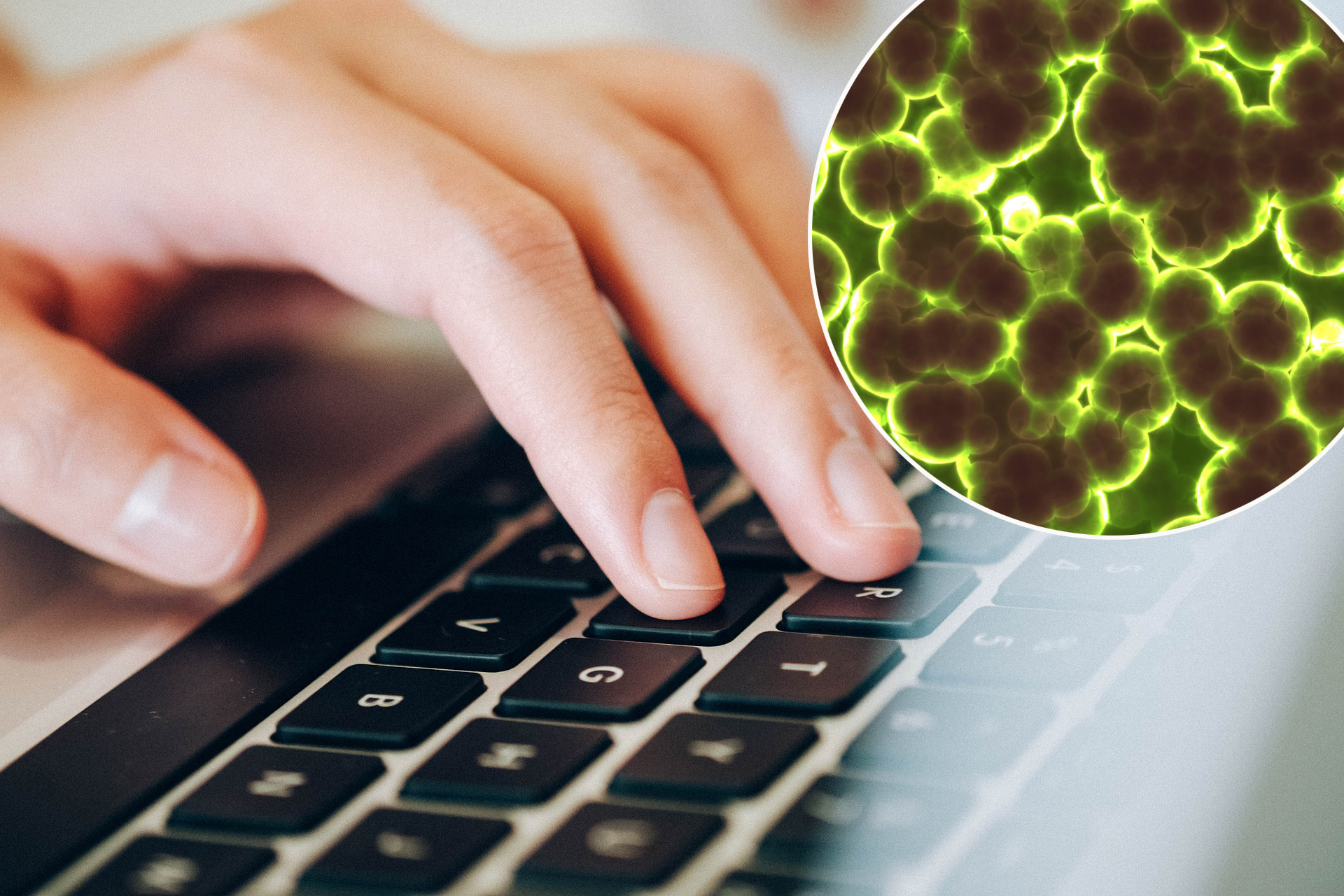 tipkovnica bakterije