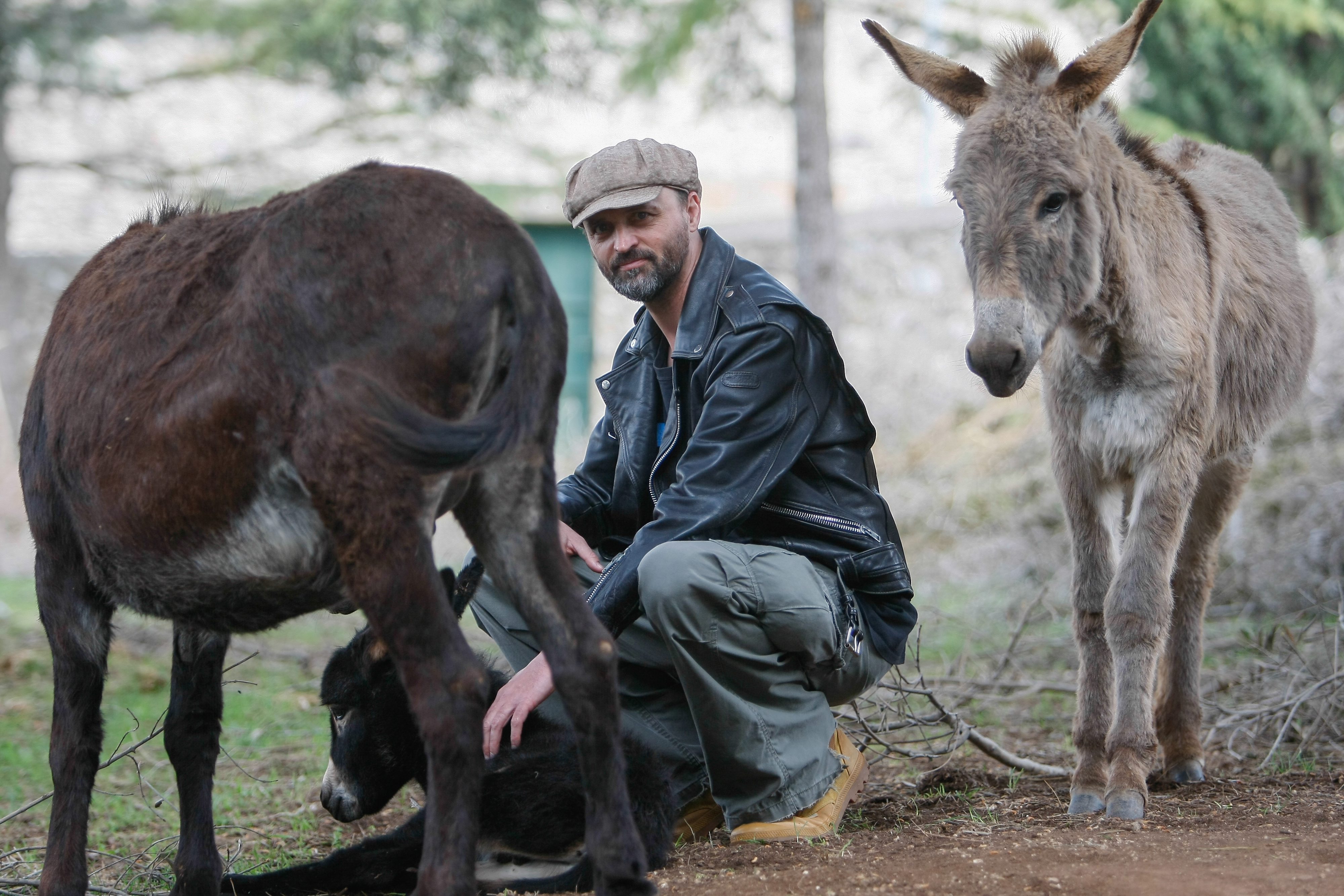 damir_karakas6-160418