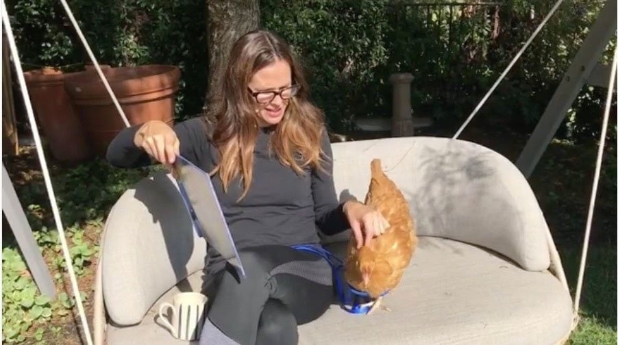 profimedia-0367621873