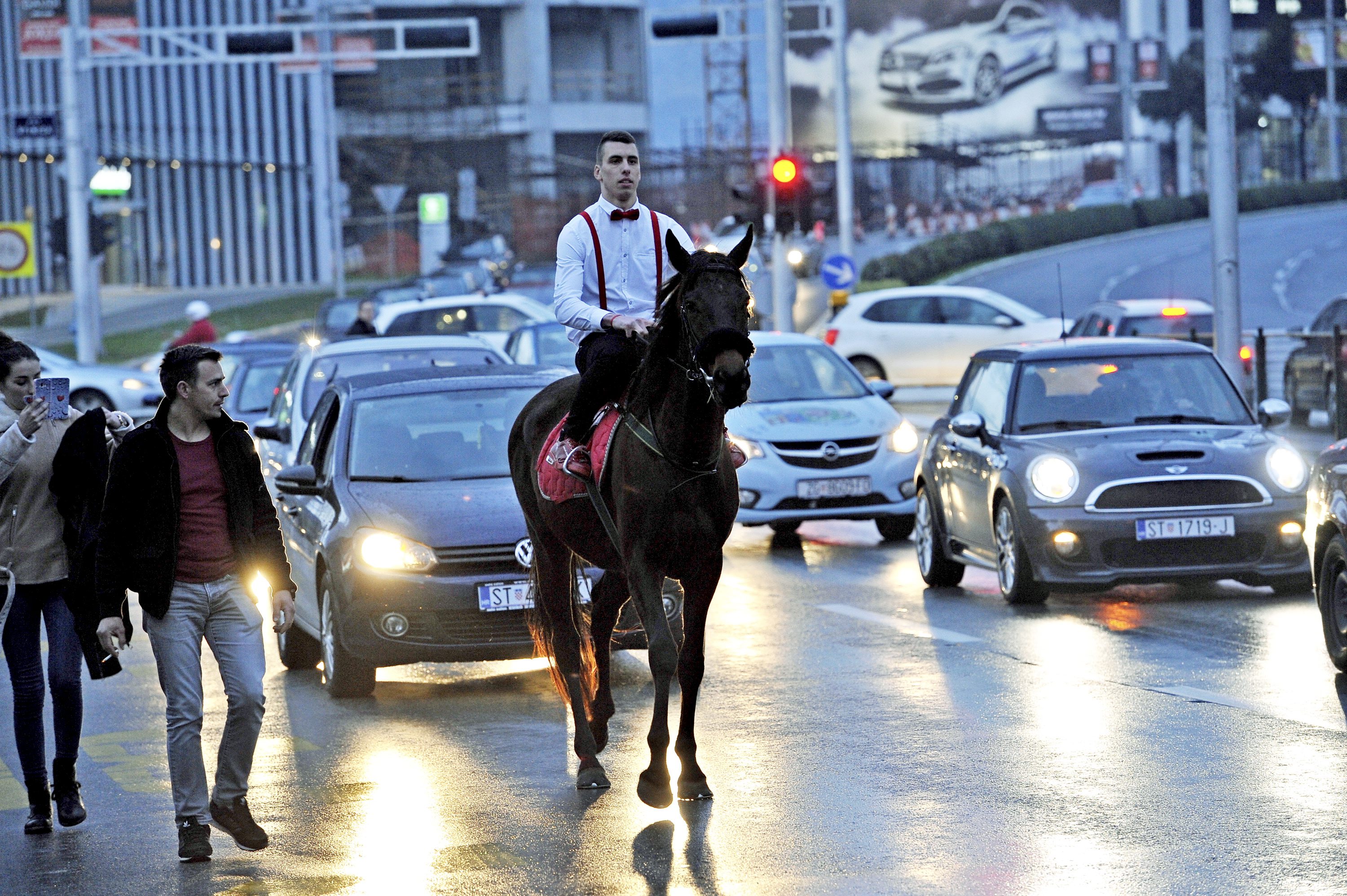 konj_maturalna1-050418