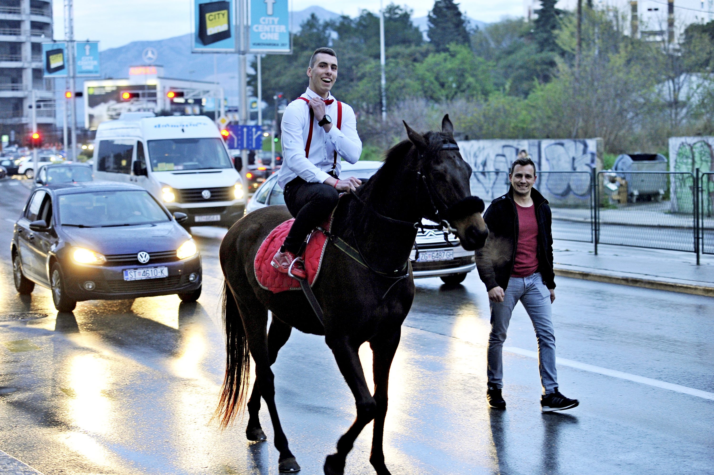 konj_maturalna3-050418