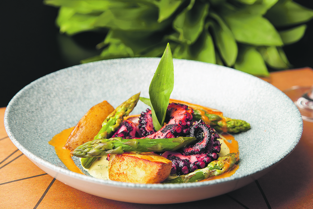 184771-235066-Grilana_hobotnica_3_