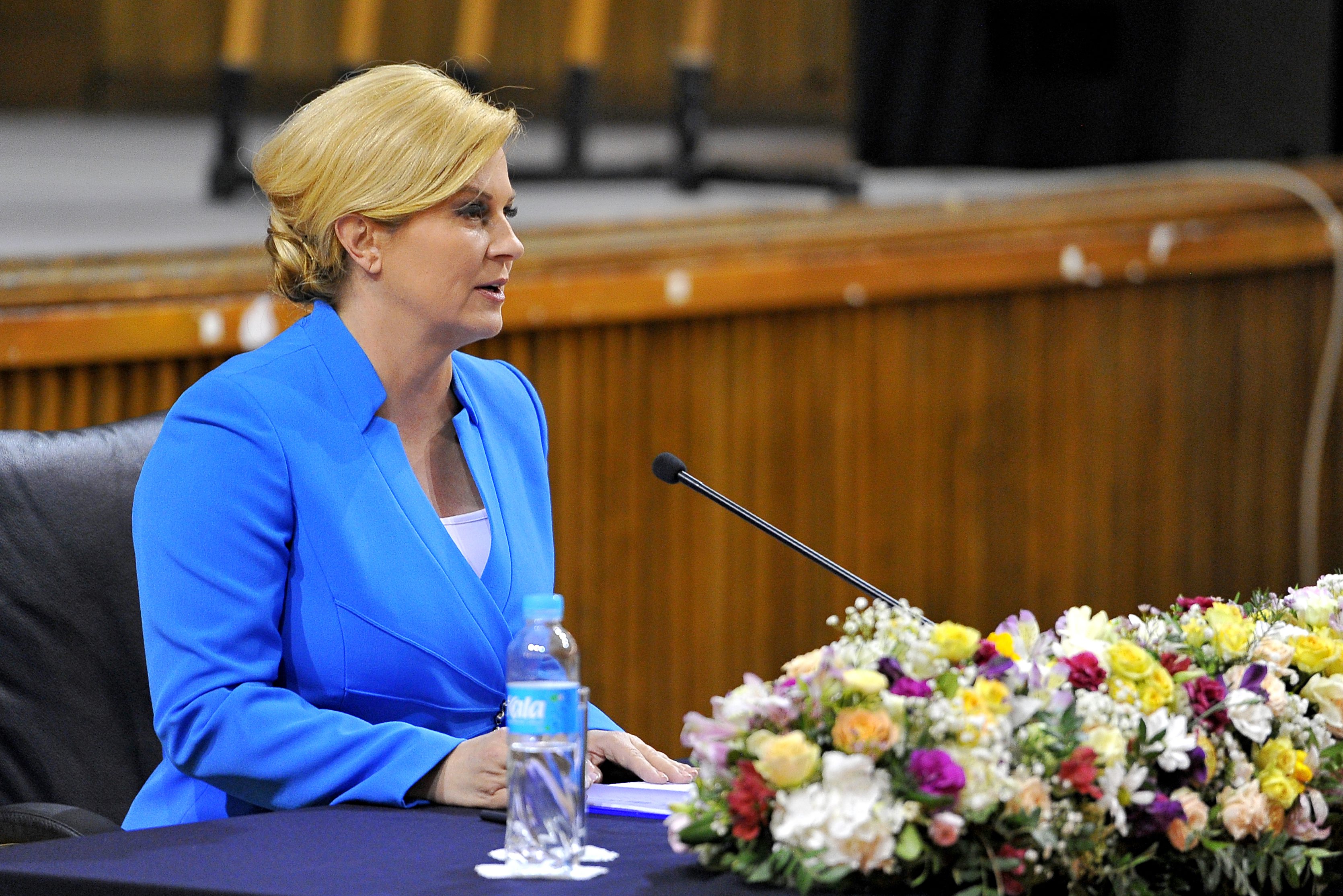 predavanje_kitarovic4-020518