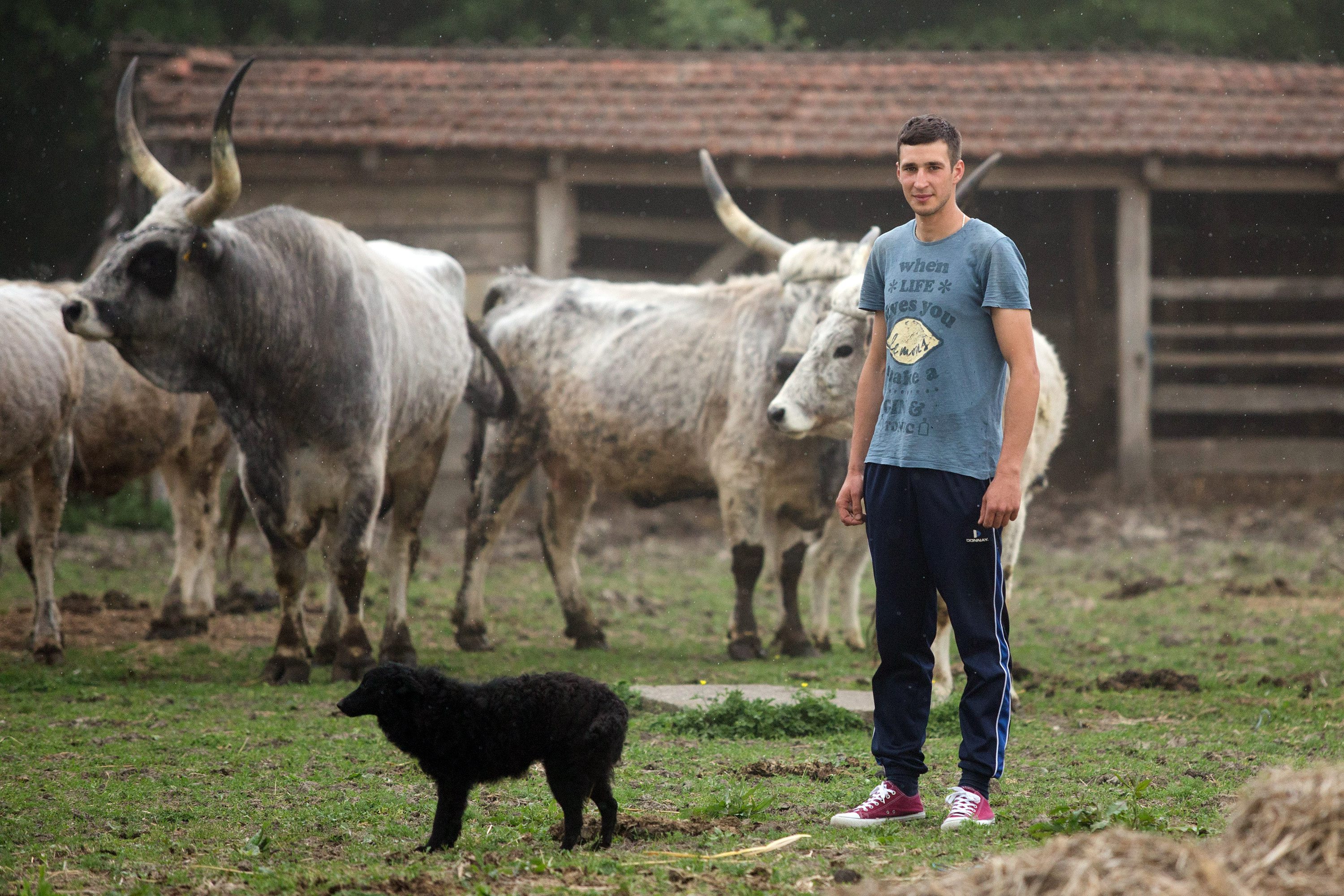 luka_glavacevic12-300418