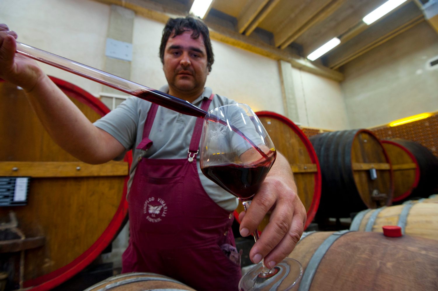 Vinski podrum vinarije Vinoplod