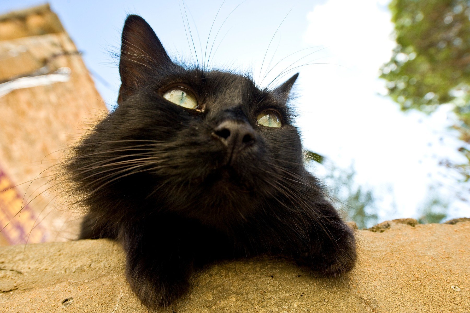 profimedia-0089856029