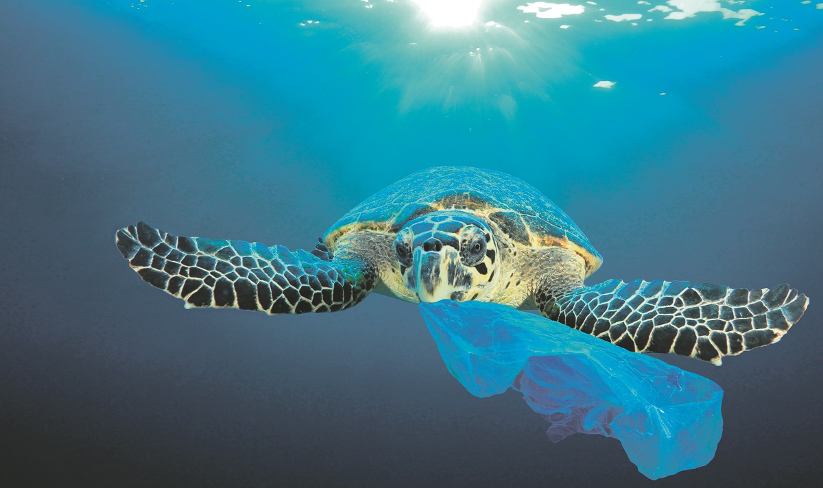 shutterstock-1074166649_1