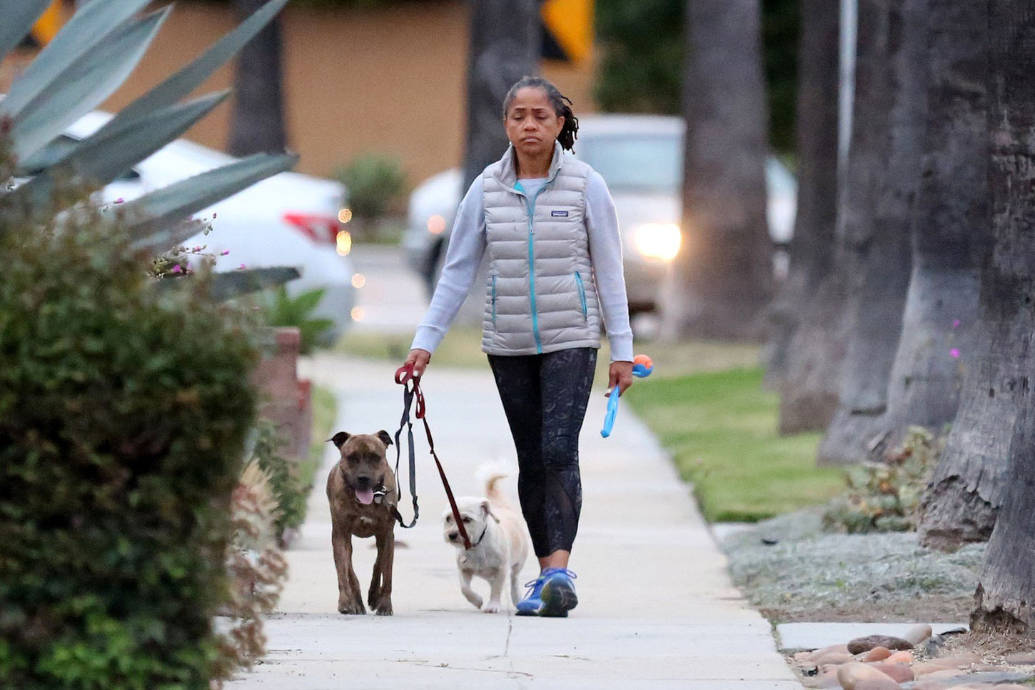 profimedia-0373415030