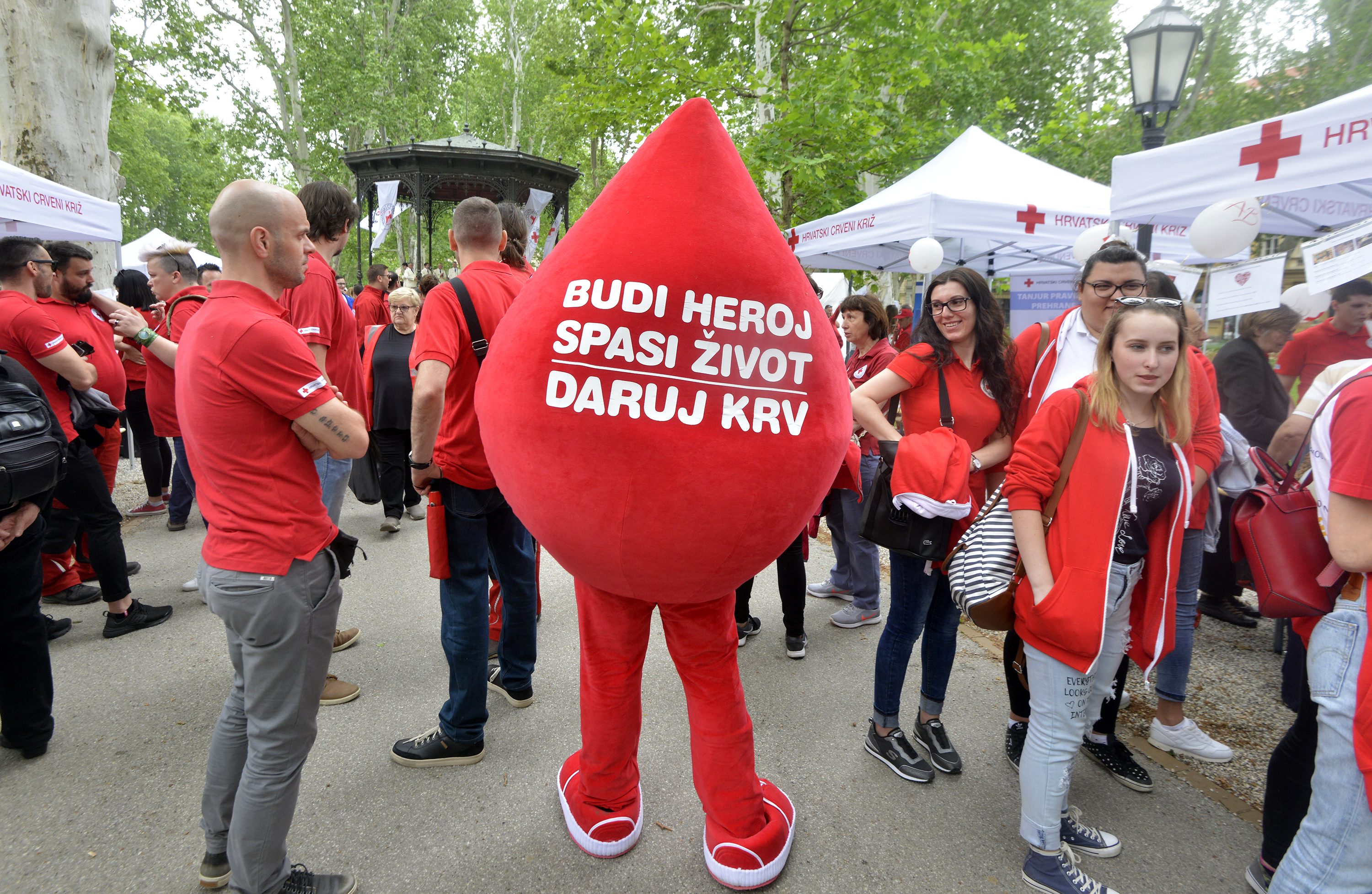 crveni_kriz27-050518