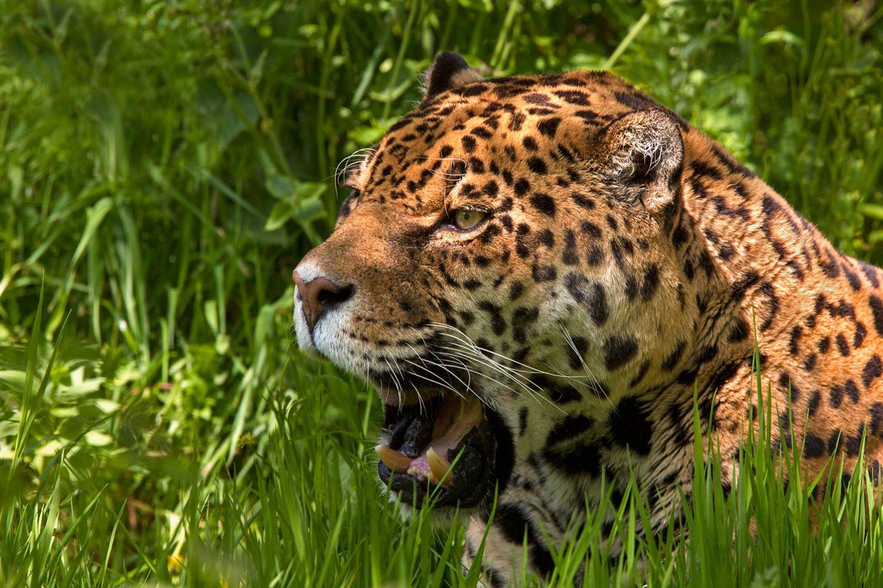 profimedia-0135726562