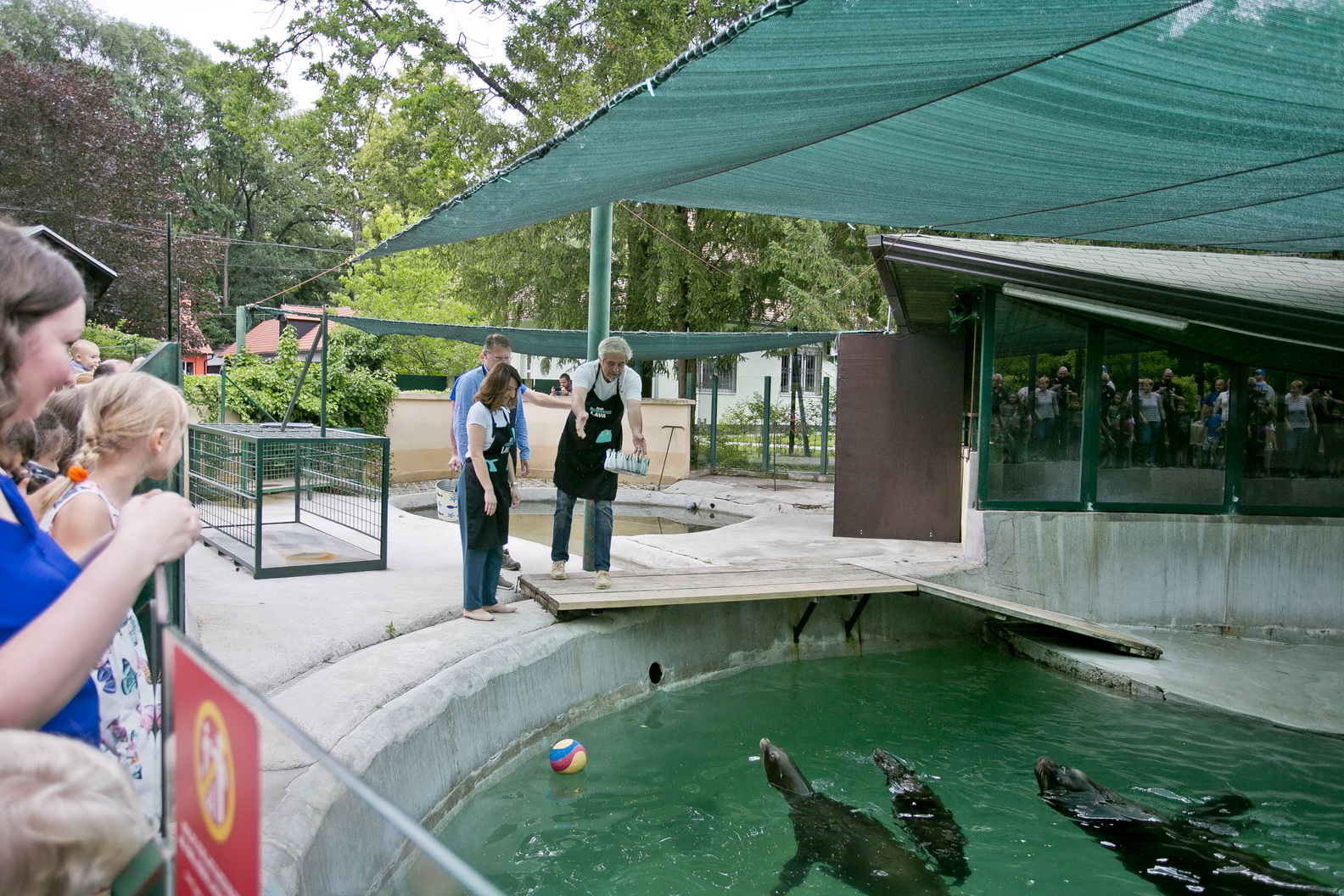 Posluživanje torte od ribica