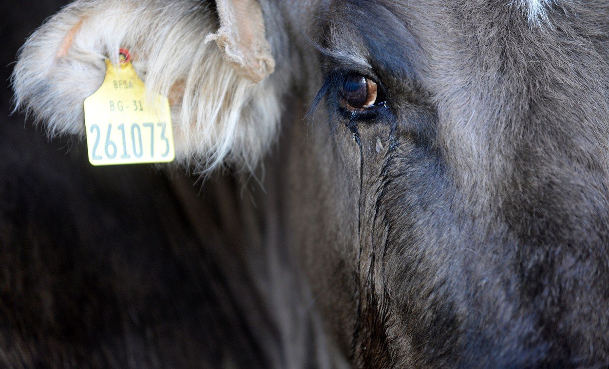 profimedia-0374609906