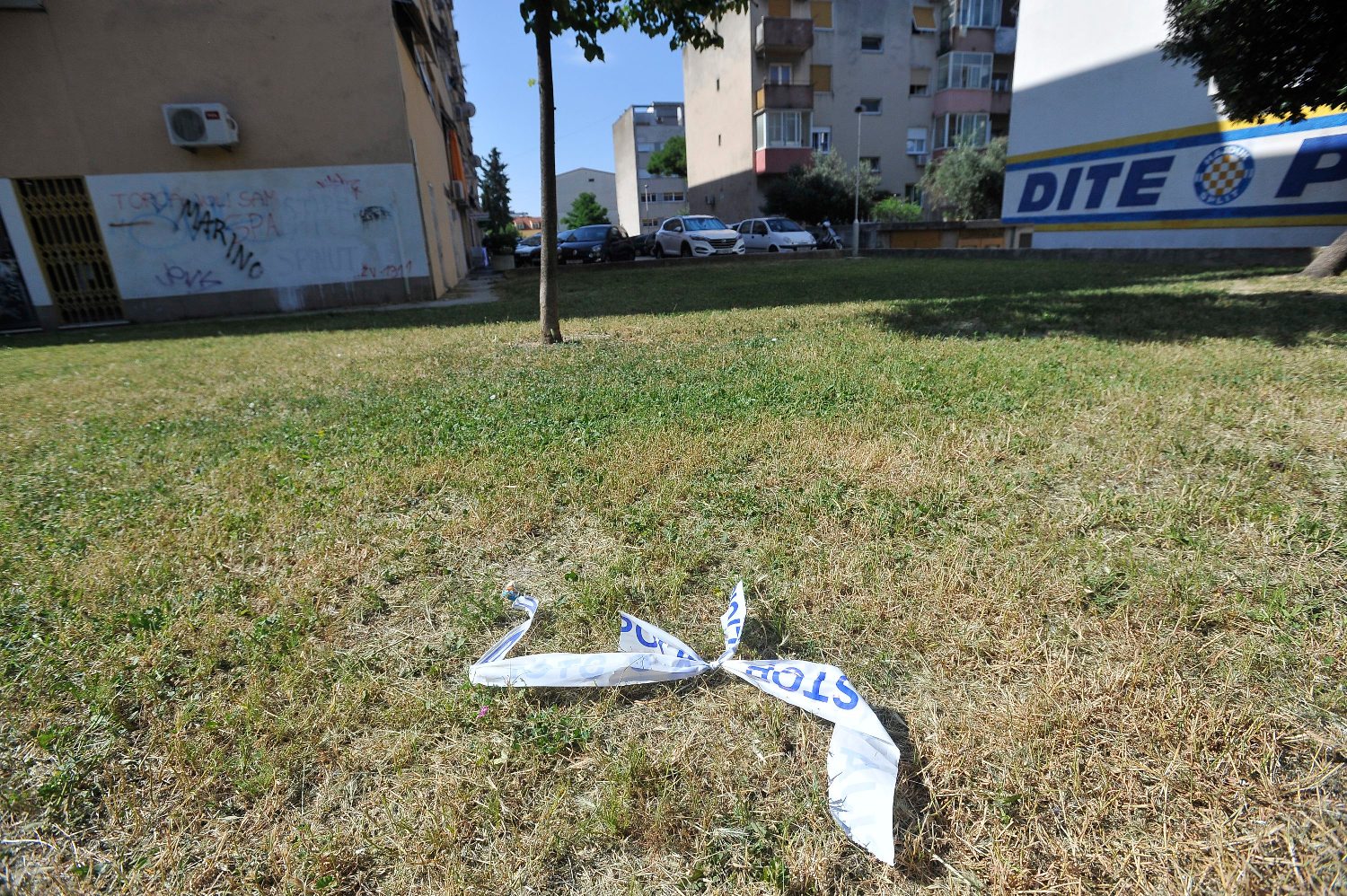 table_ocevid1-020618