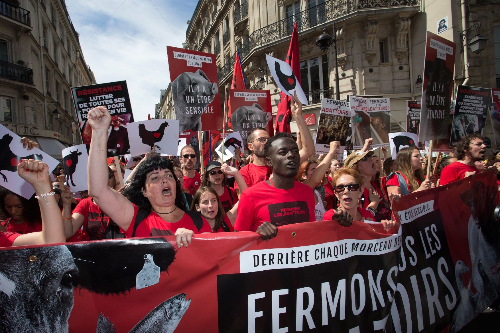 Francuski vegani na prosvjedu protiv klanja životinja, arhivska fotografija