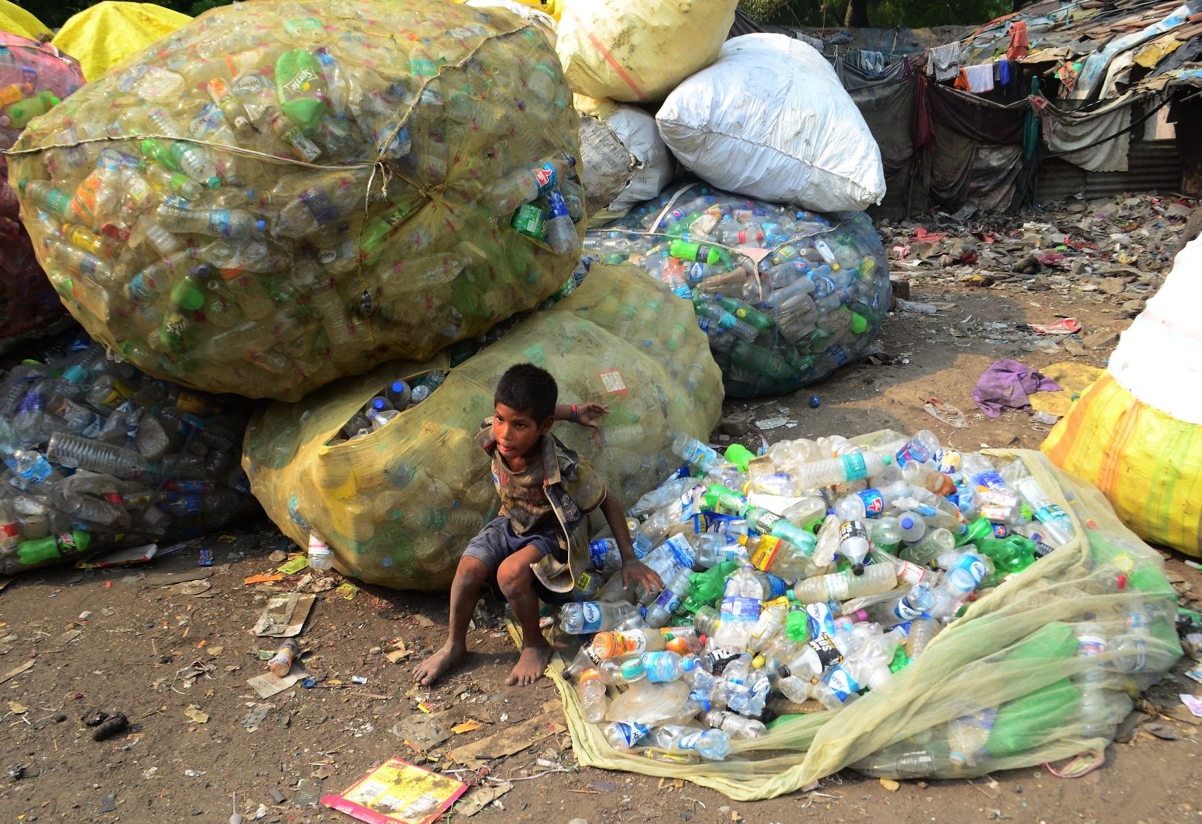 profimedia-0373895384