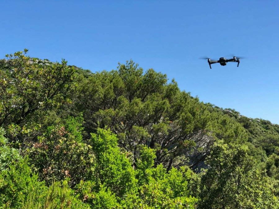 tn_large_1528021385-img-8d4d0464a7d2857f2cae3fb0736a4eed-v