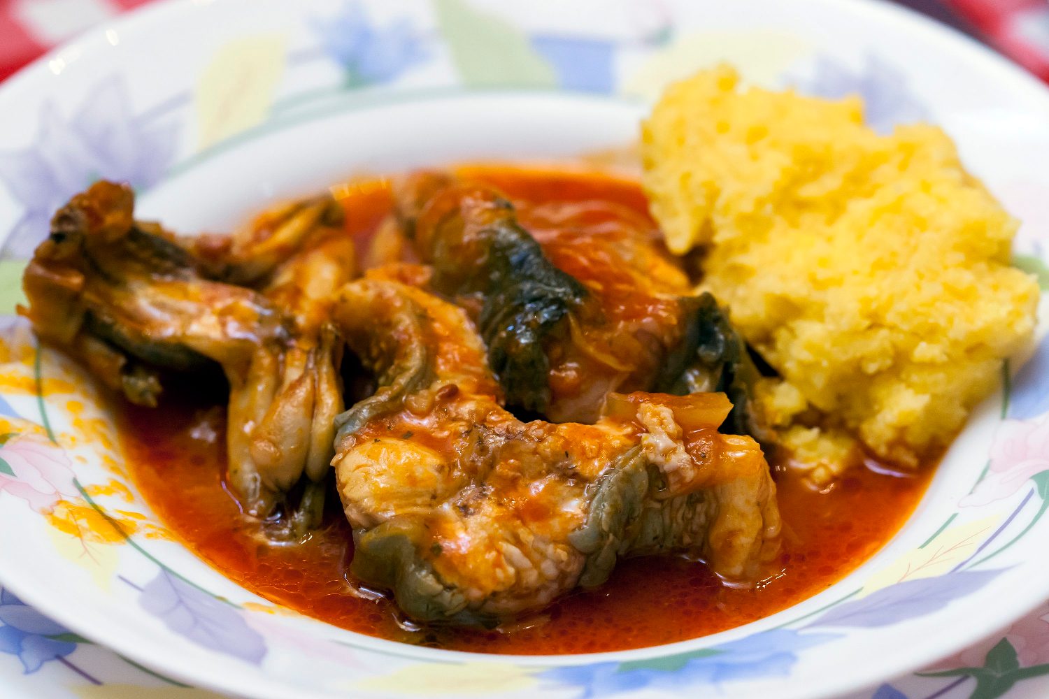 klobuk_jegulja10-171117 (1)