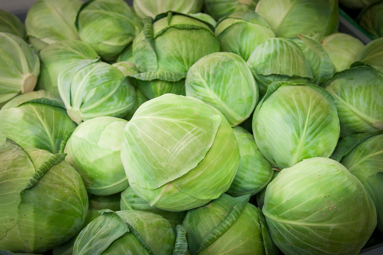 vitkovic_komin4-080416